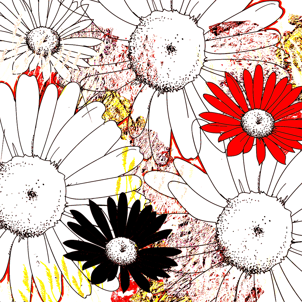 Print Design : Montauk