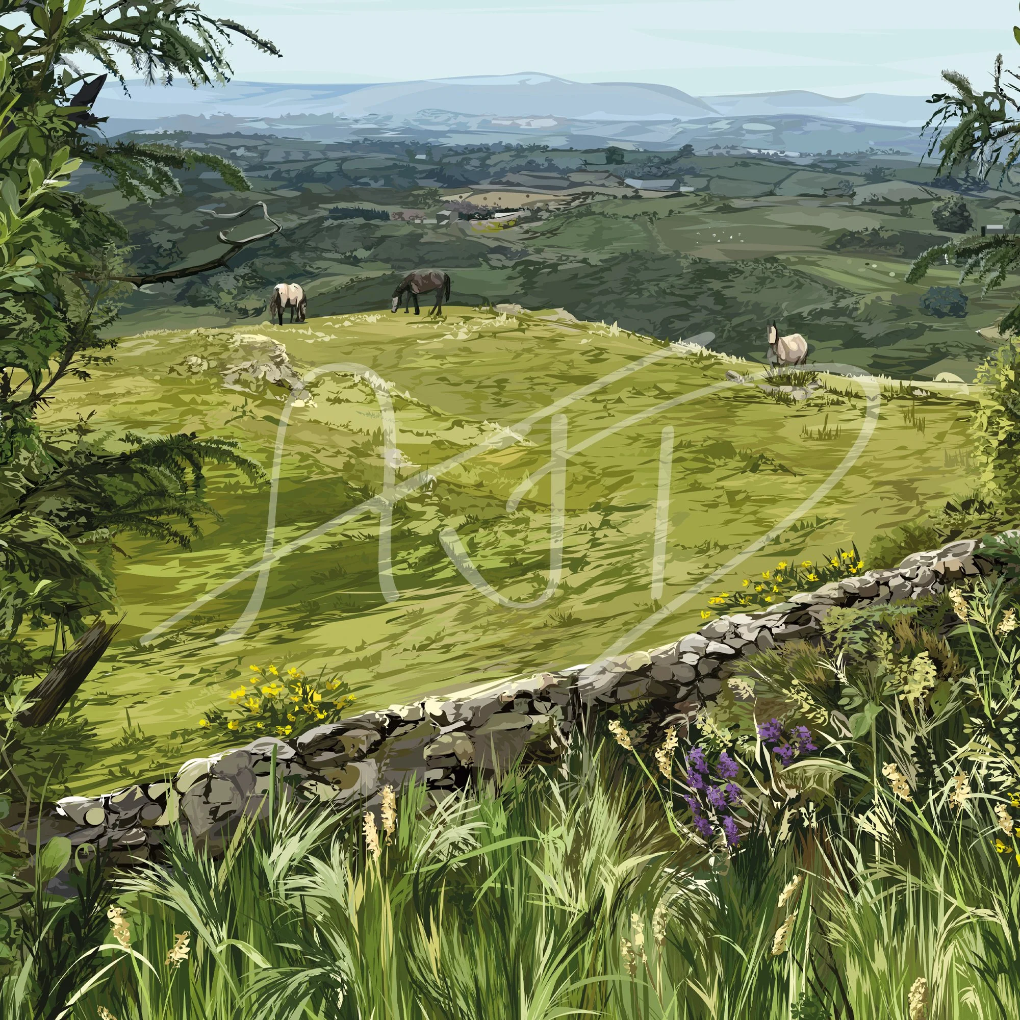 County Down Countryside Close Up.jpg