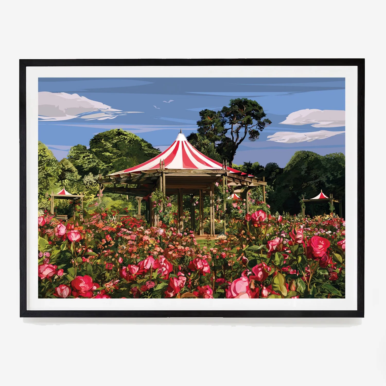 Lady Dixons Park Rose Gardens Print