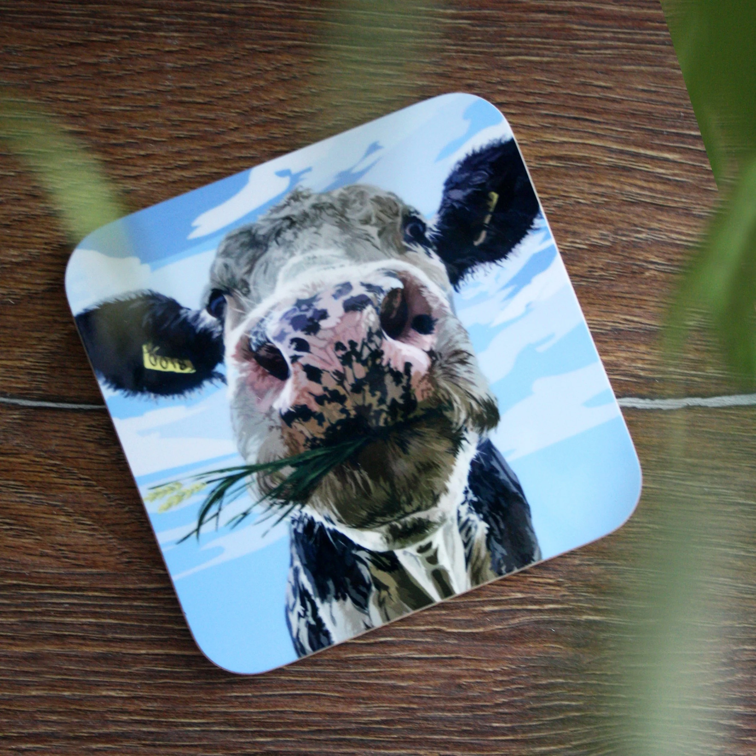 Dairy Cow Coasters (2-4 Pack)