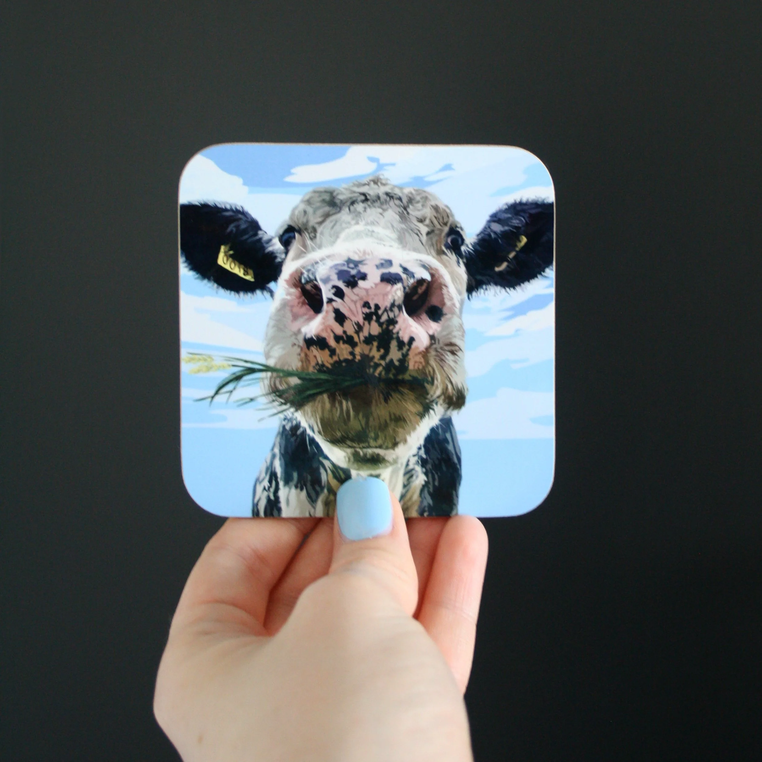 Dairy Cow Coasters (2-4 Pack)