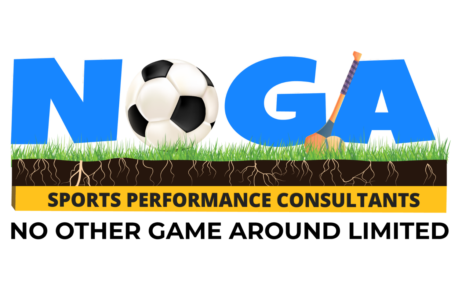 NO OTHER GAME AROUND SPORT PERFORMANCE CONSULTANTS