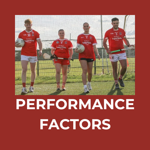 Performance Factors