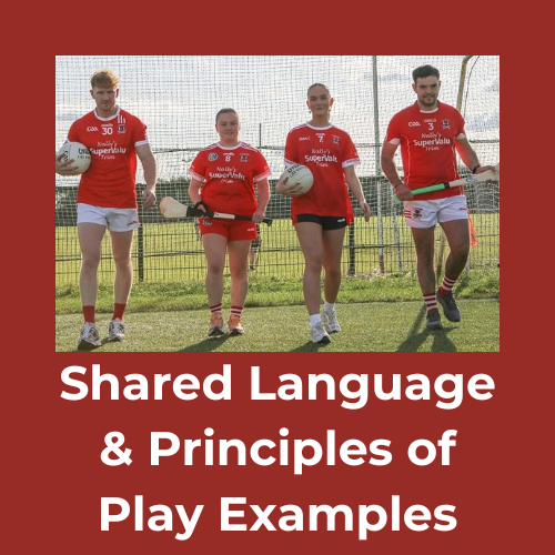 Share Language & Principles Examples