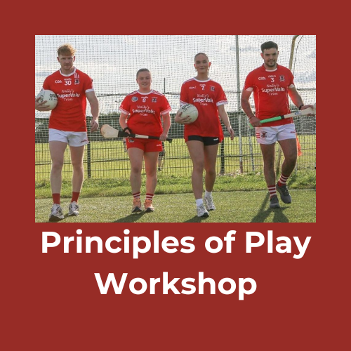 Principles of Play Presentation