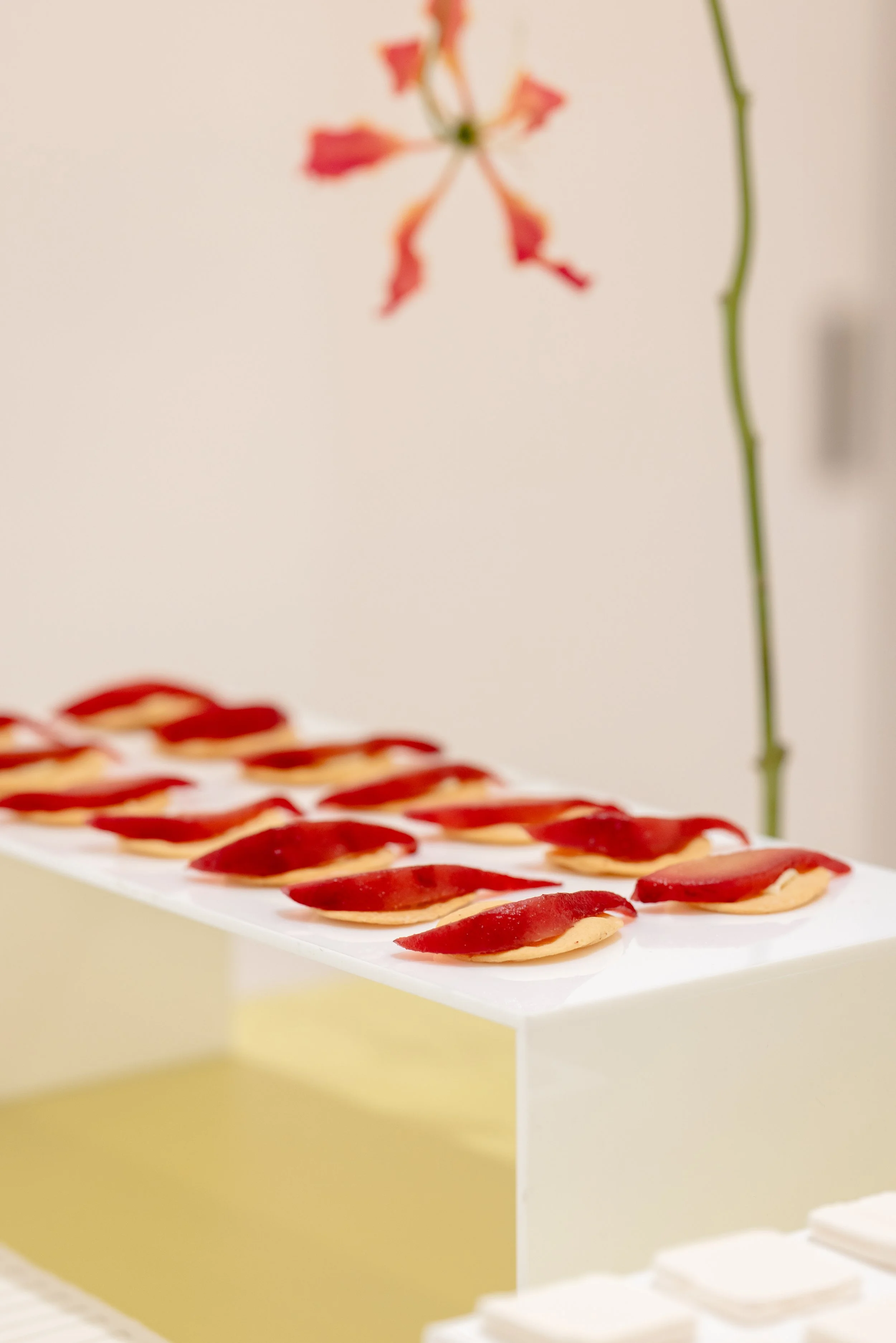 Nulink Events_KOHLS12.JPG