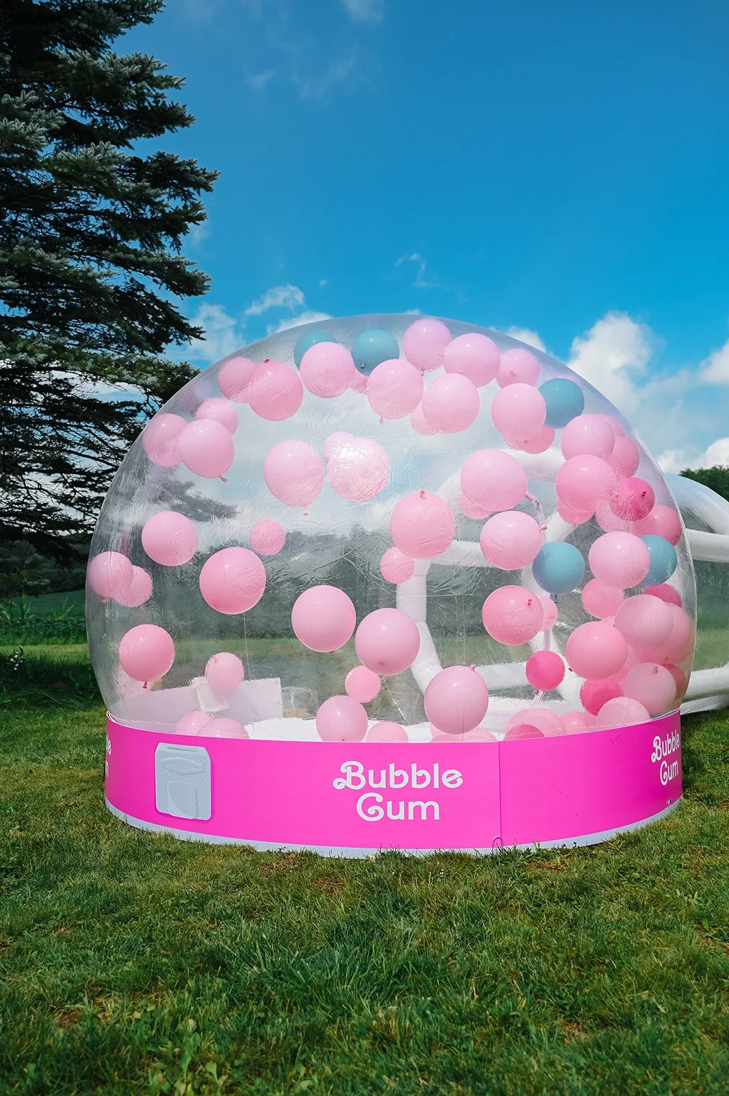 Nulink Events_Baybiebs World_8.jpg