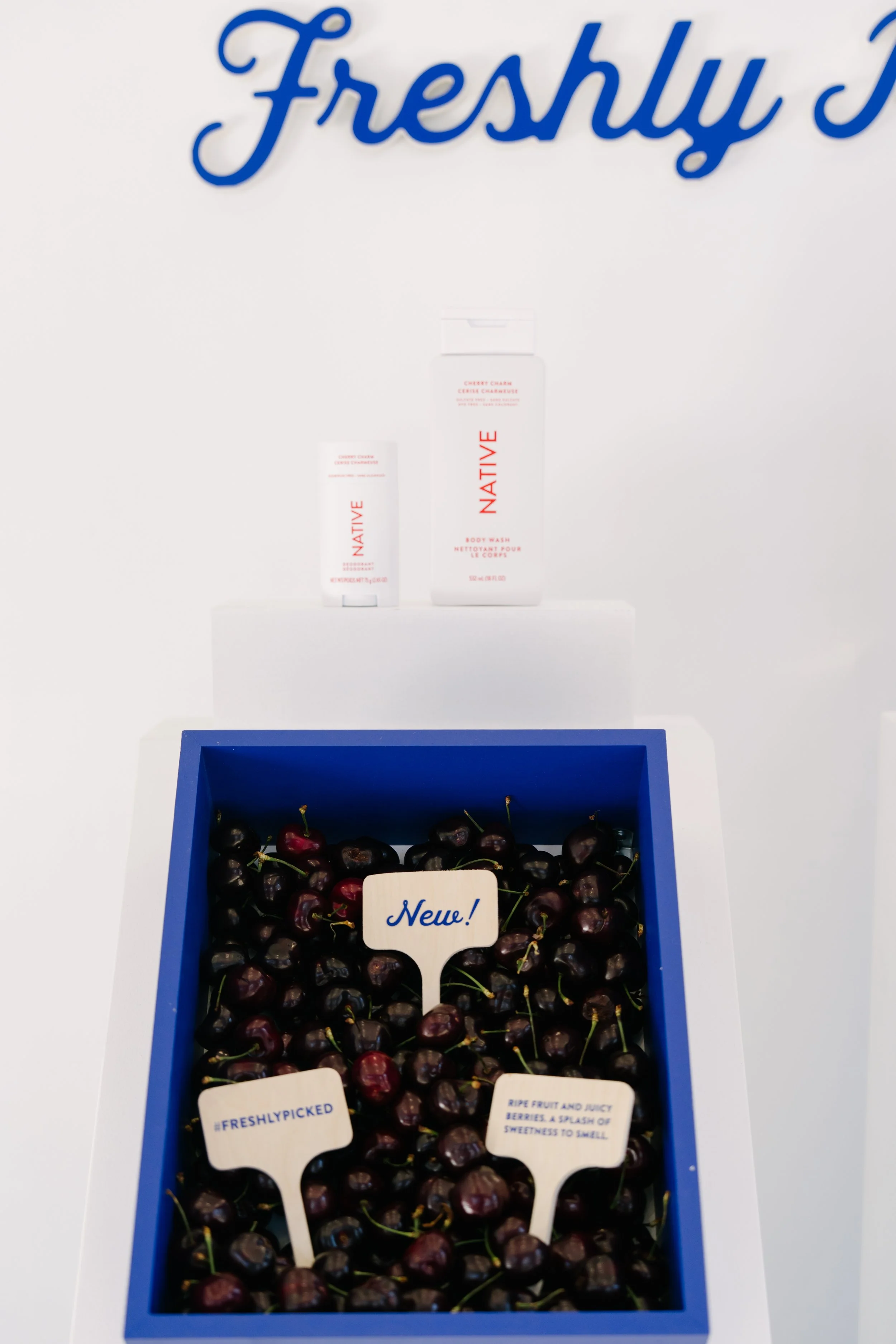 Nulink Events_Native Toronto Pop Up_3.jpg