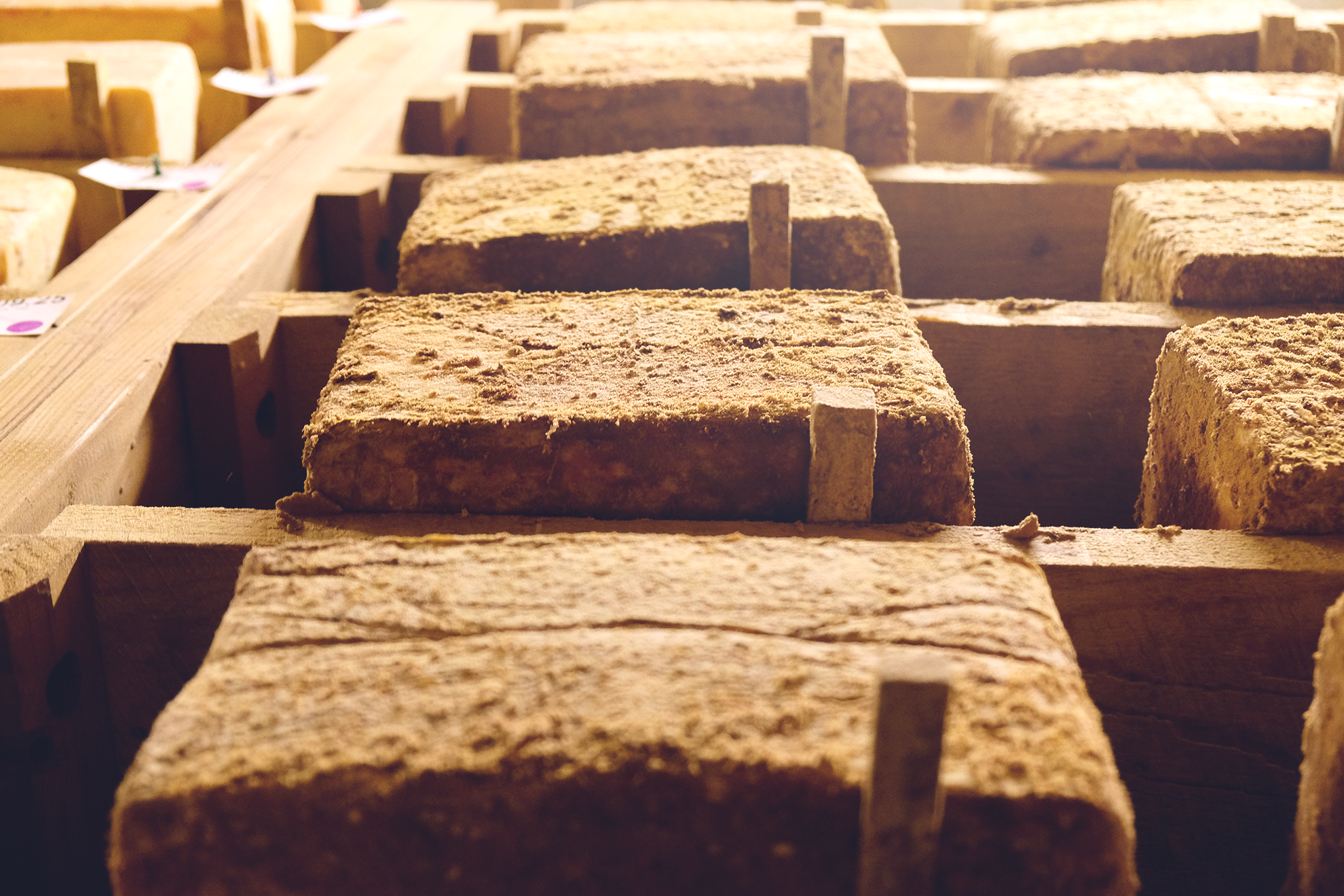 Blocks of Vault 5 Cheddar as it ages on wood in the cellars