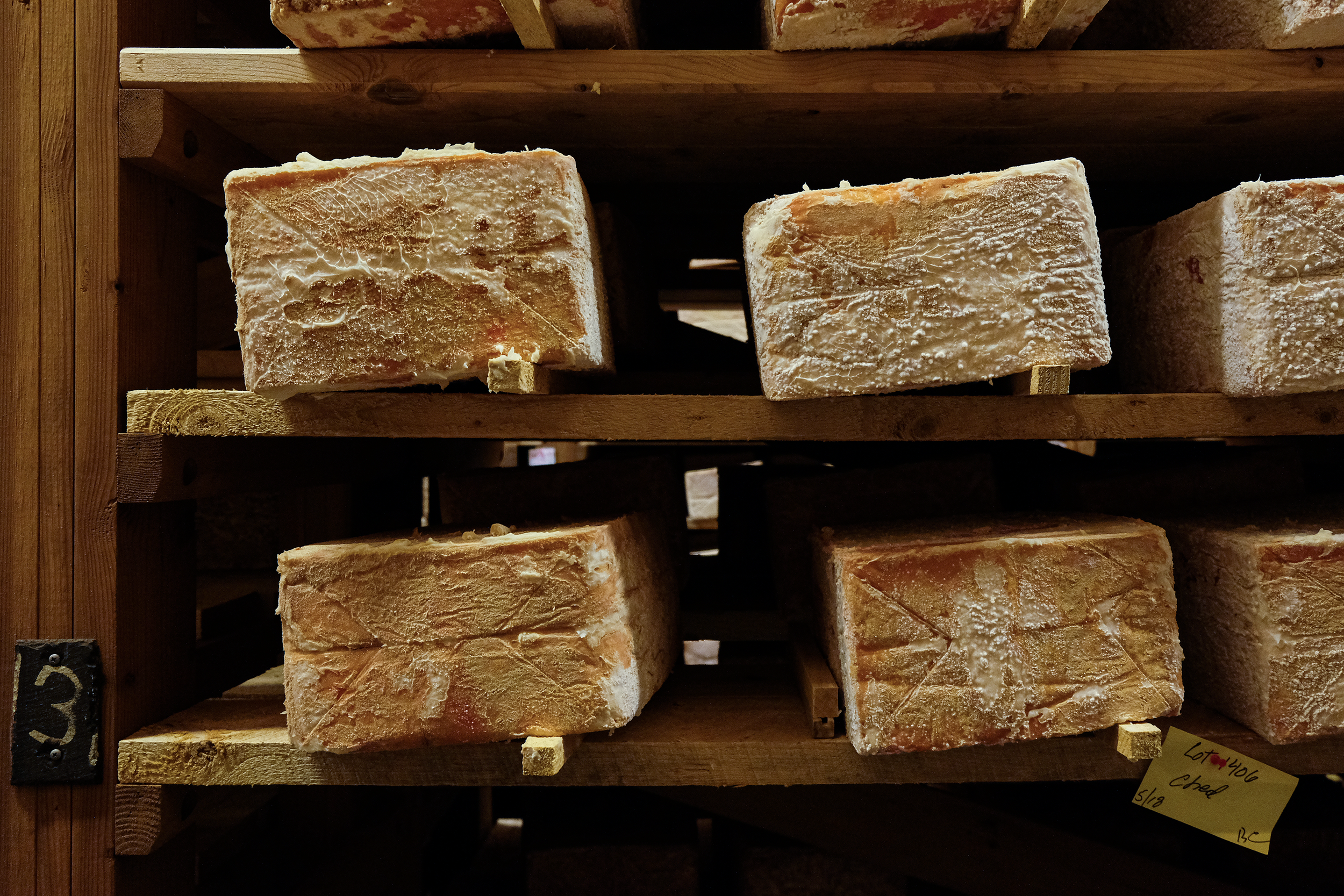Blocks of Vault 5 cheddar aging on wood