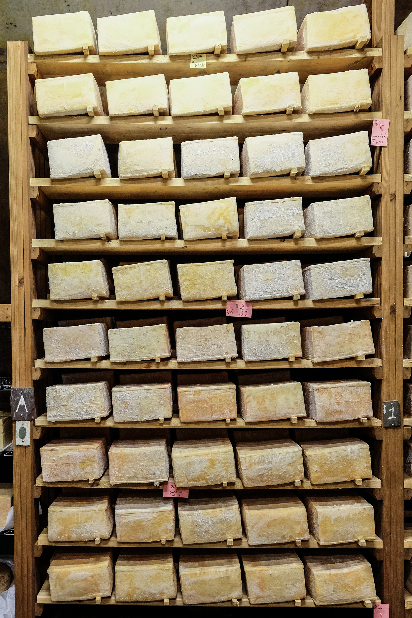 Stacks on stacks of Vault 5 Cheddar