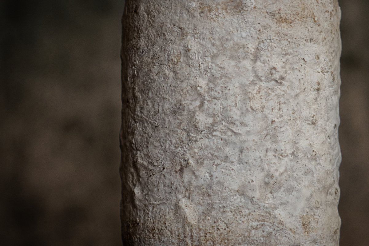 Close-up of the natural rind of Bayley Hazen blue cheese