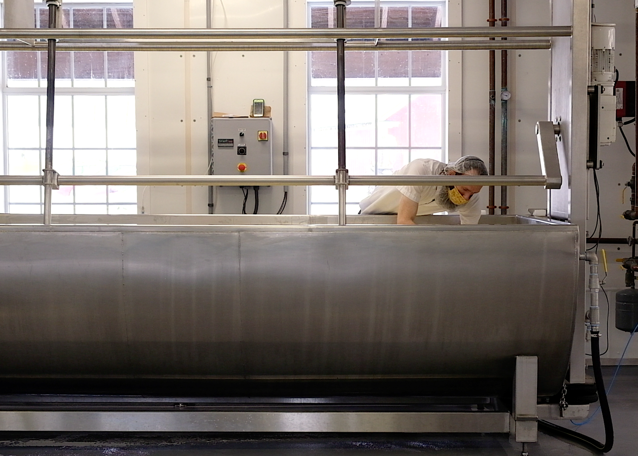 Cheesemaker checking in on the curds in the vat