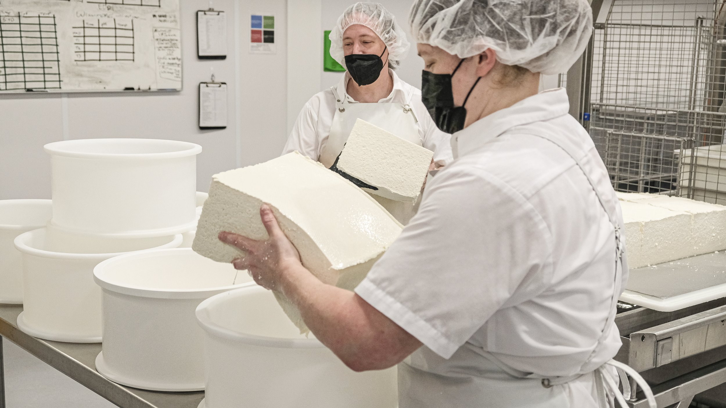 Cheesemakers molding slabs of Whitney curd into their molds