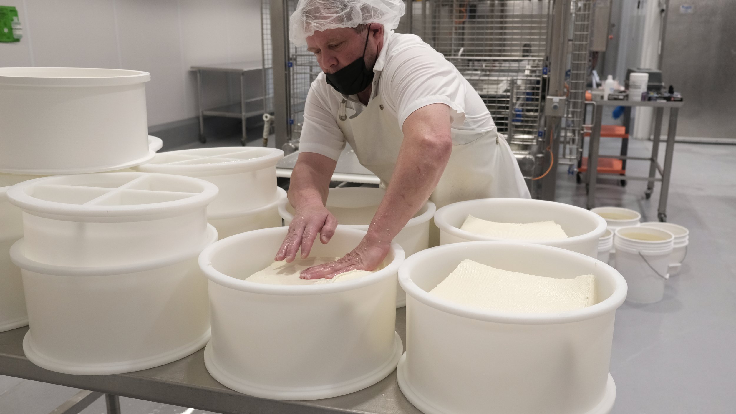 Cheesemaker presses the curd into the molds