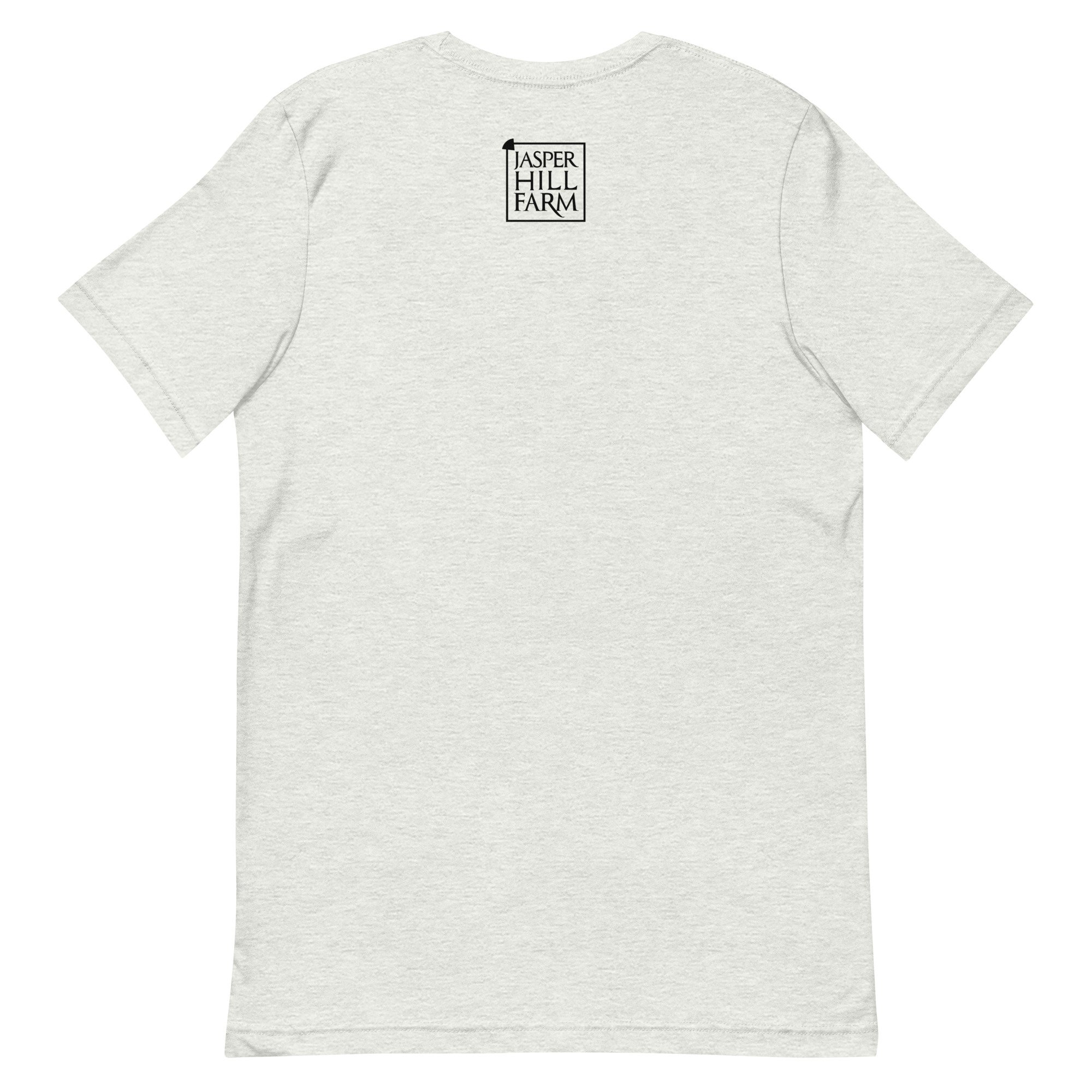 unisex-staple-t-shirt-ash-back-6890c92cac5df.jpg