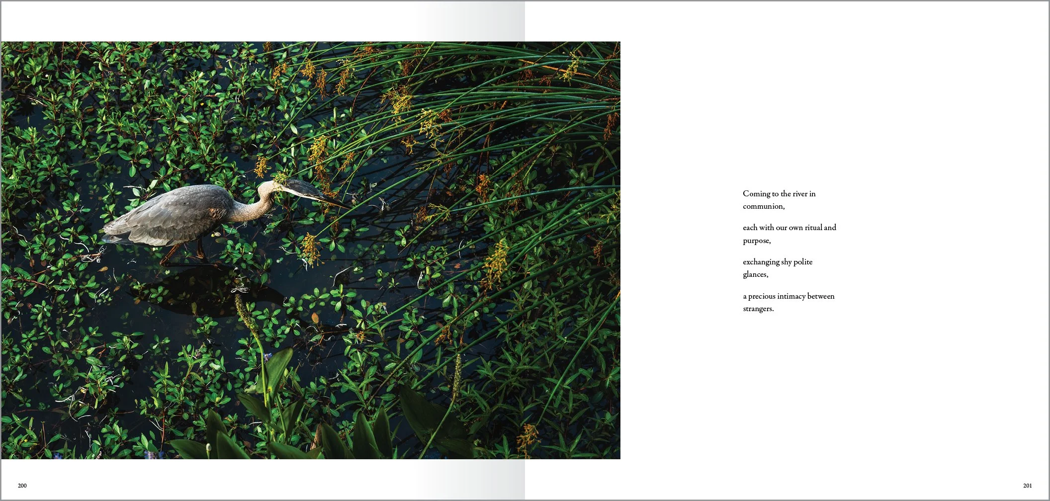 Meditations Along The Chattahoochee_INSIDE_v14_jostens_0200-201.jpg