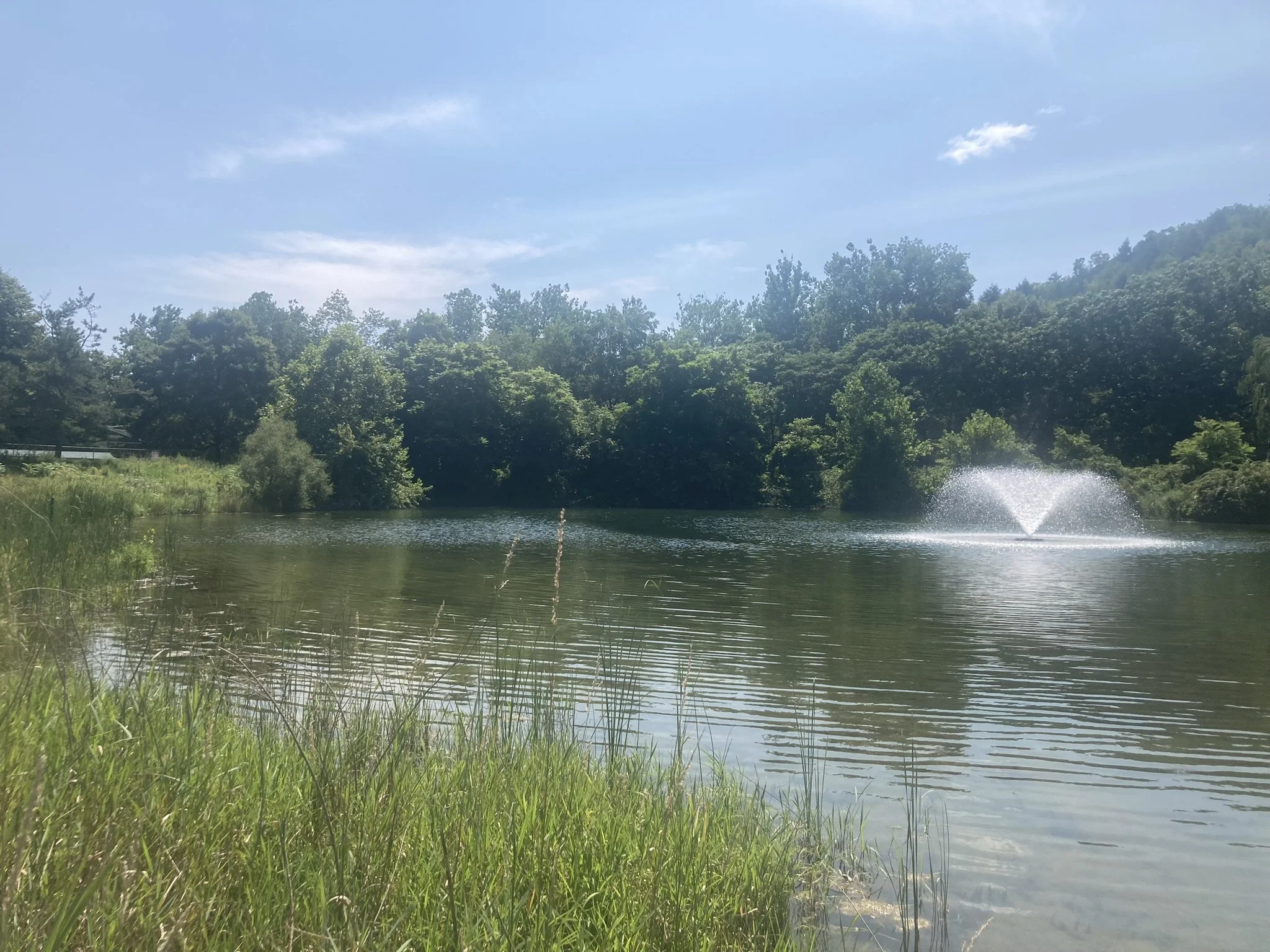 A scenic view of a small pond with a water fountain in the center, surrounded by lush green trees and grass under a partly cloudy sky.