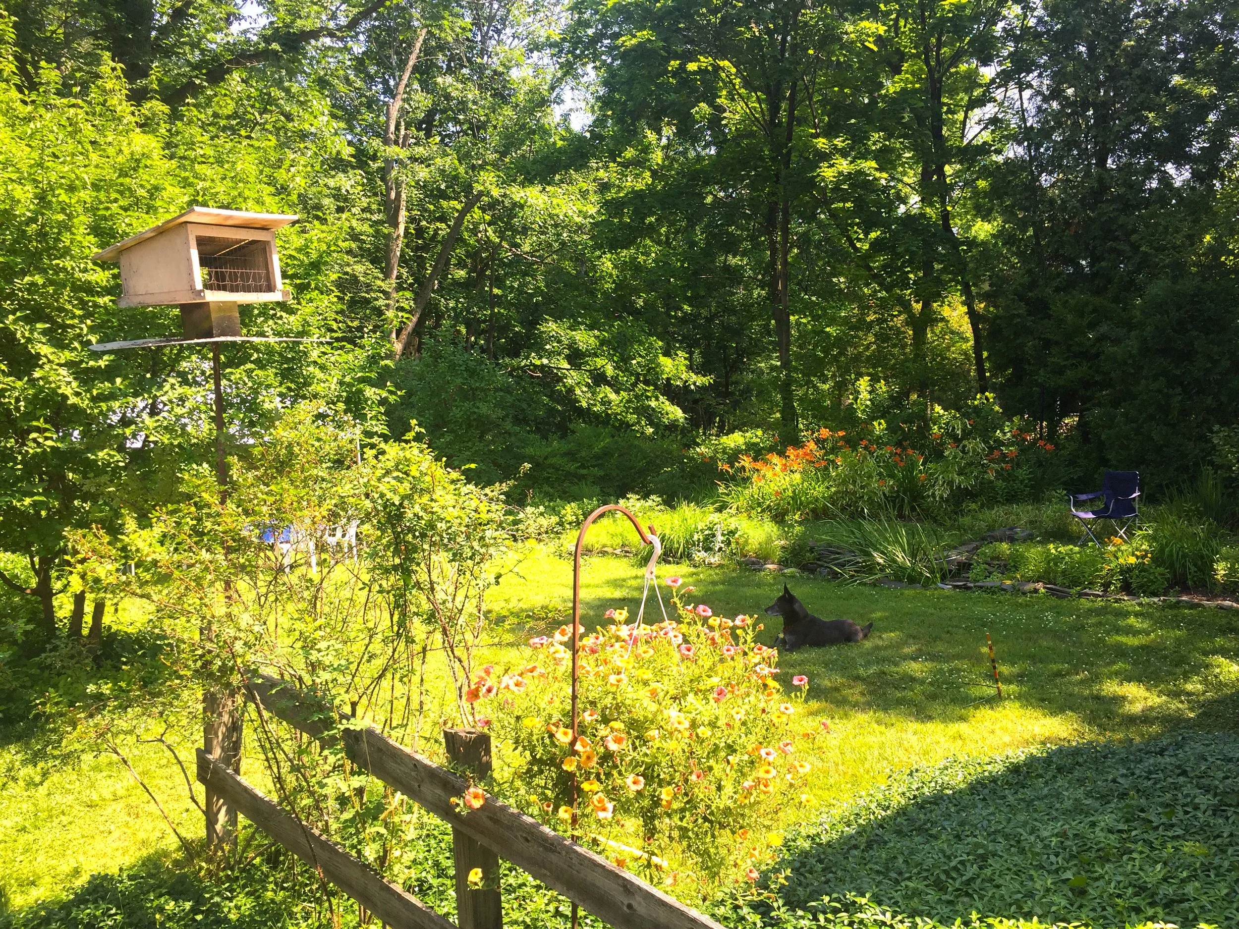 A lush garden with a wooden birdhouse on a pole, colorful flowers, and a dog lying on the grass. Trees and greenery surround the area, with a folding chair on the right.