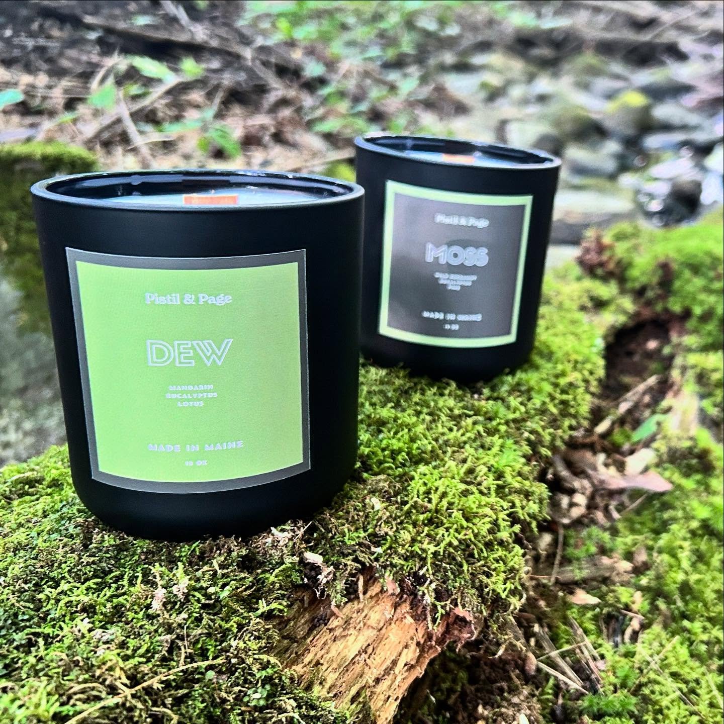 Our custom, Maine-made candles are now available in our online shop! Check them out at pistilandpage.com/store. 
.
.
.
.
.
.
.
.
.
#pistilxpage #shopsmall #shopsmallbusiness #shoplocal #supportsmallbusiness