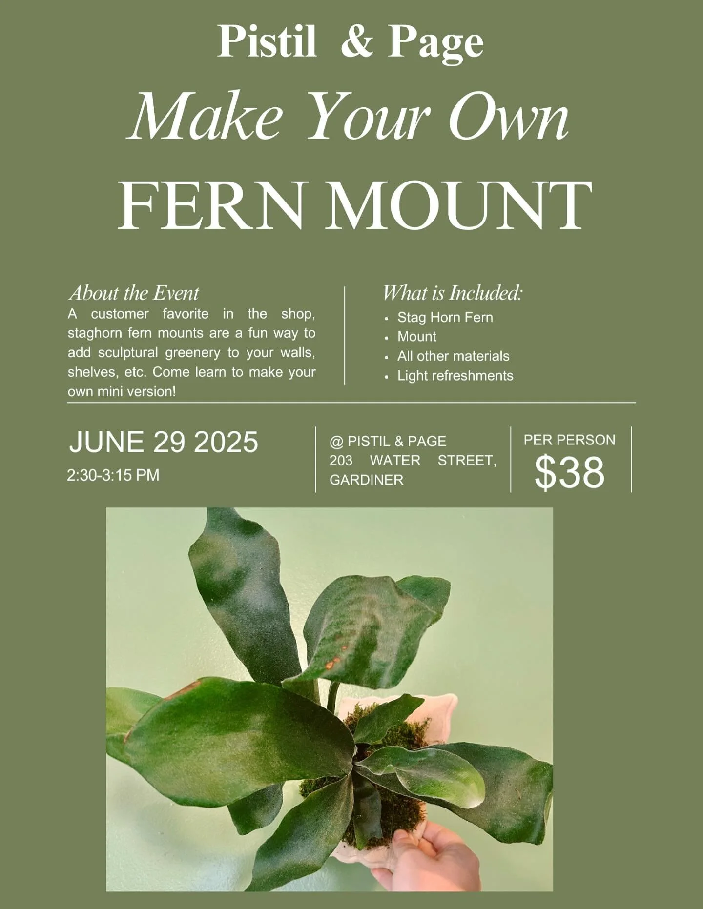 Finish out June with a fun weekend class! Make your own staghorn fern mount Sunday June 29th! Sign up for the  class on our website and link in bio. 
.
.
.
.
.
.
.
.
#plantclass #staghornfern #staghornfernmount #gardinermaine #gardinermainstreet