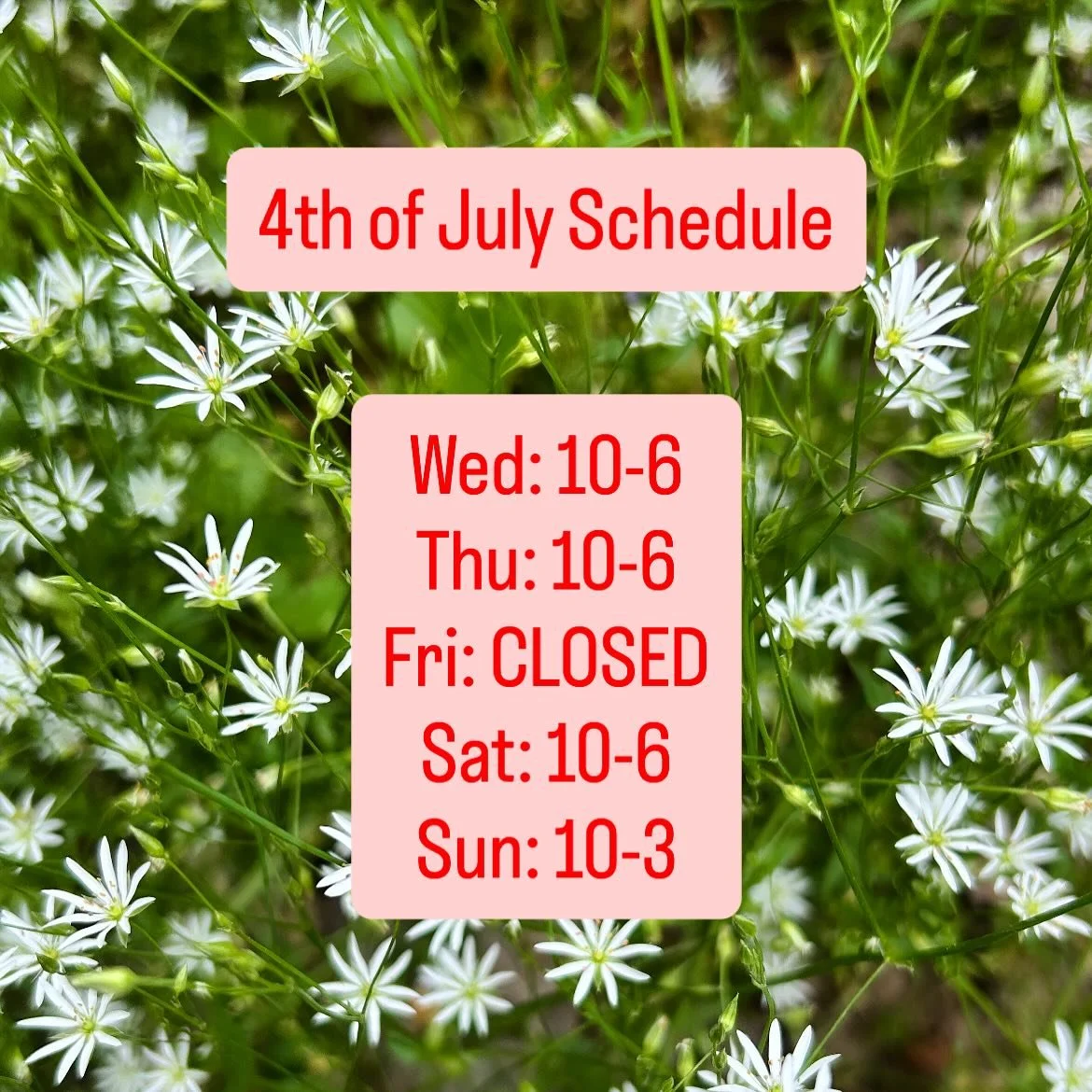Holiday schedule this week!
.
.
.
.
.
.
.
.
.
#shopsmall #shoplocal #gardinermainstreet #pistilxpage #gardinermaine