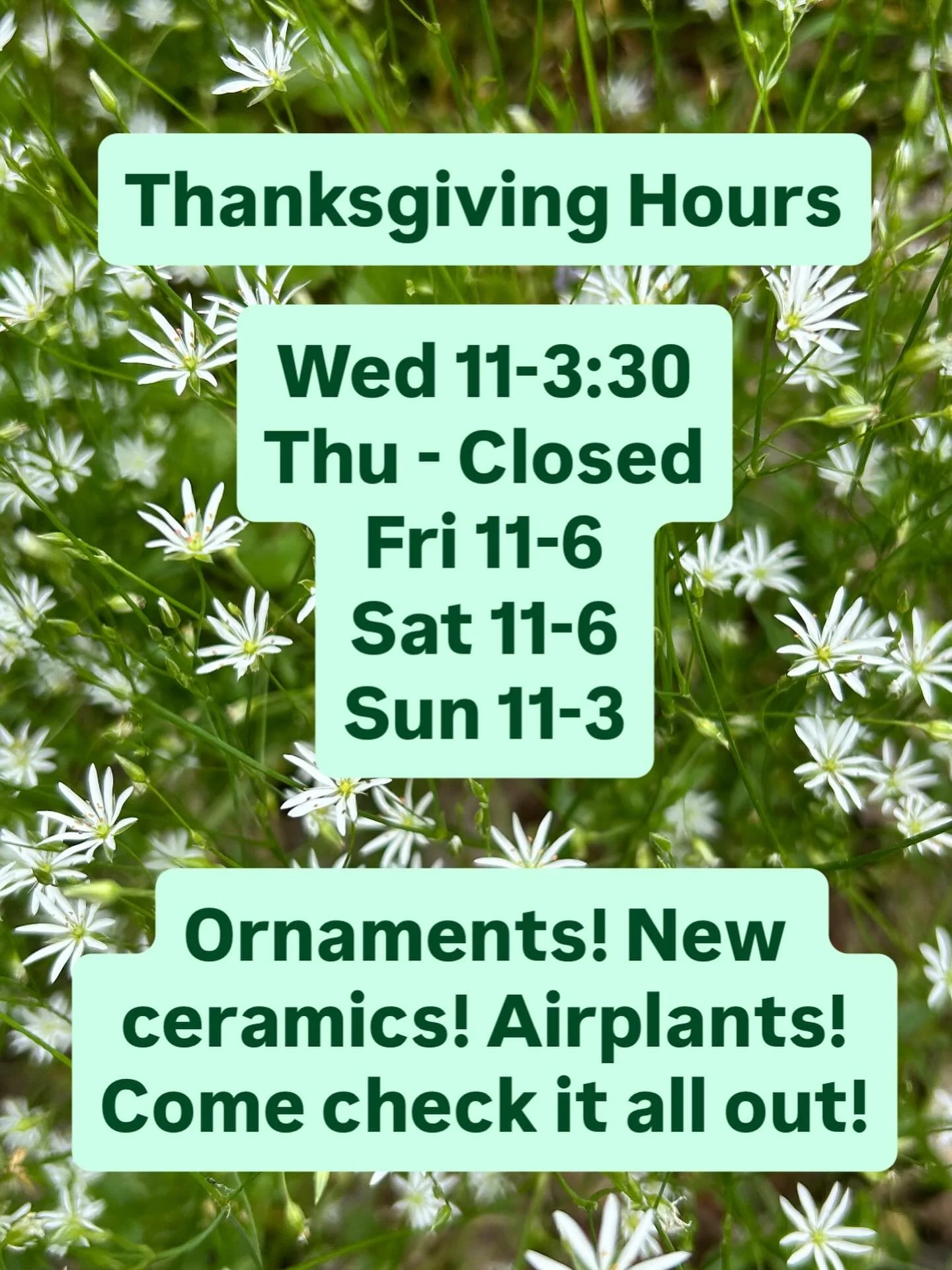 Hours this week! 
.
.
.
.
.
.
.
.
#augustamaine #centralmaine #shopsmall #shoplocal #augustadowntownalliance #pistilxpage