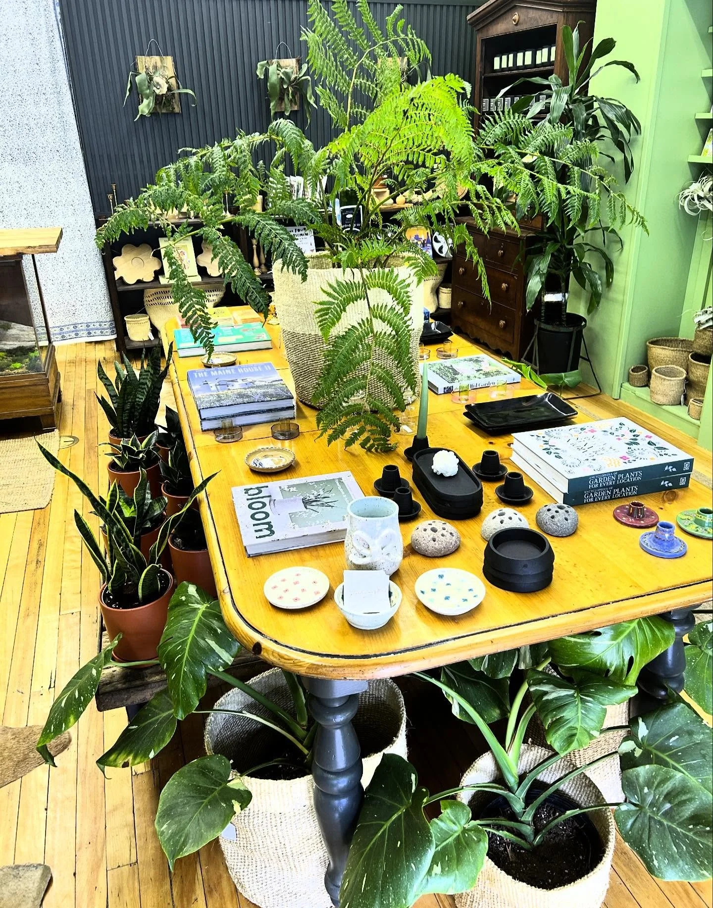 Happy Friday! Open 11-6 at 234 Water Street in Augusta!