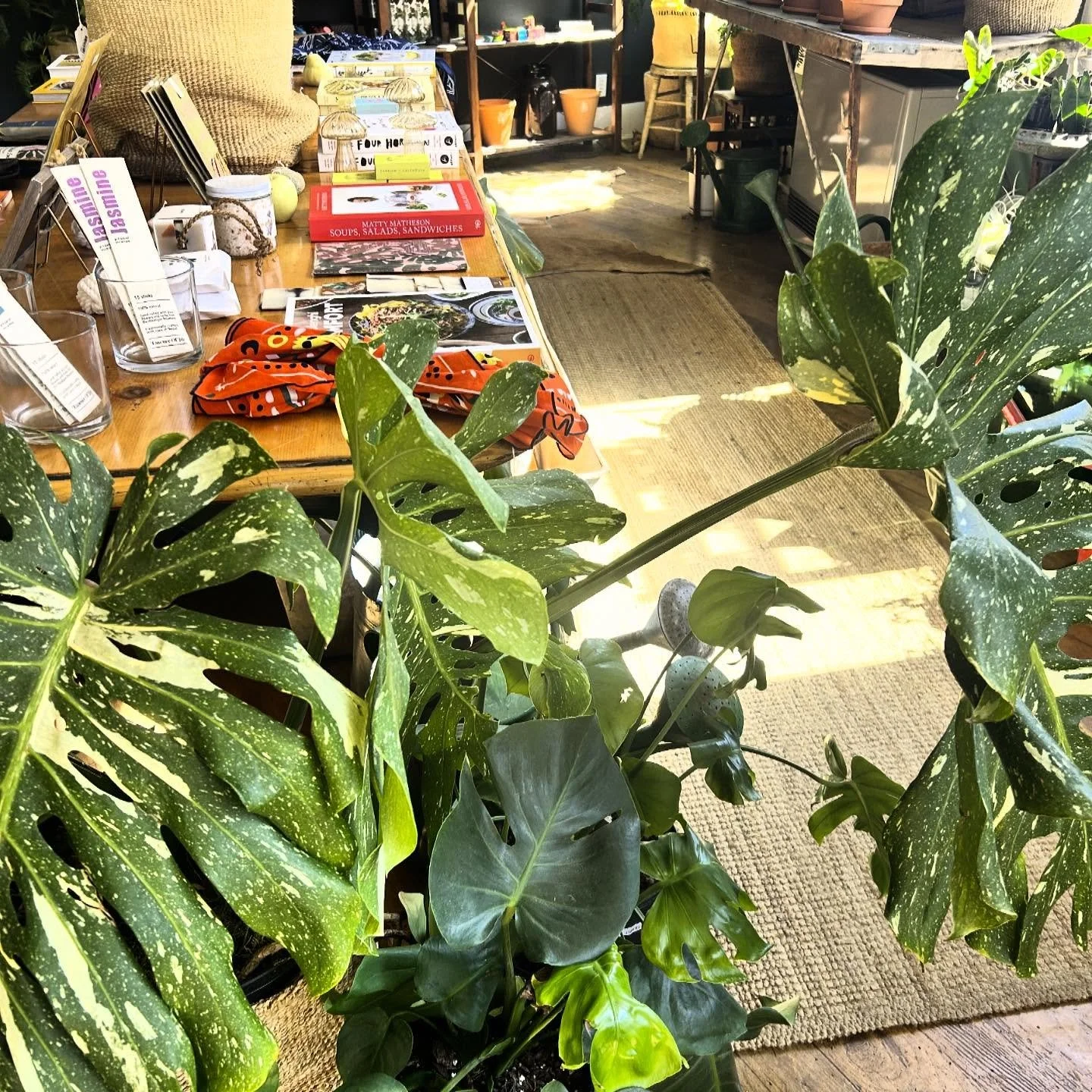 That post ArtWalk glow&hellip; here until 6:00 today and 3:00 tomorrow! As we prepare for the move to Augusta, books are 40% off and an assortment of goodies on our center table are 50% off. Come check it out!
.
.
.
.
.
.
.
.
.
#pistilxpage #movingsa