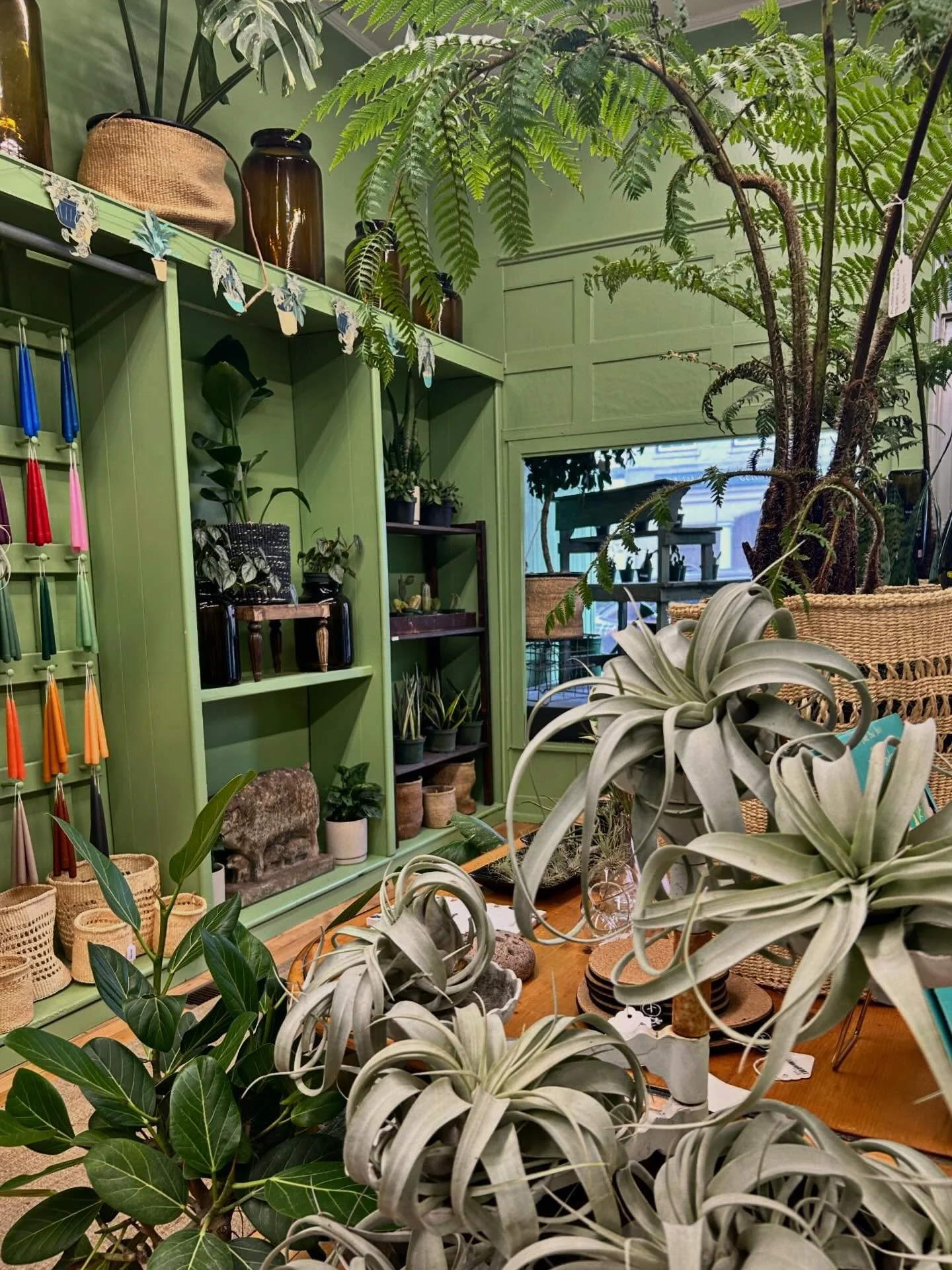 Tucked away here until 5:00&hellip;

#downtownaugusta #pistilxpage #shoplocal #shopsmall