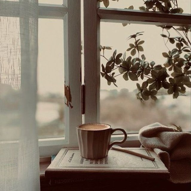 Today the house was already quiet, a few windows open on a late Spring afternoon. I&rsquo;d made myself a cup of something warm to drink and climbed the stairs up to my room. The trees were budding and I stood at a window and looked out for a while. 