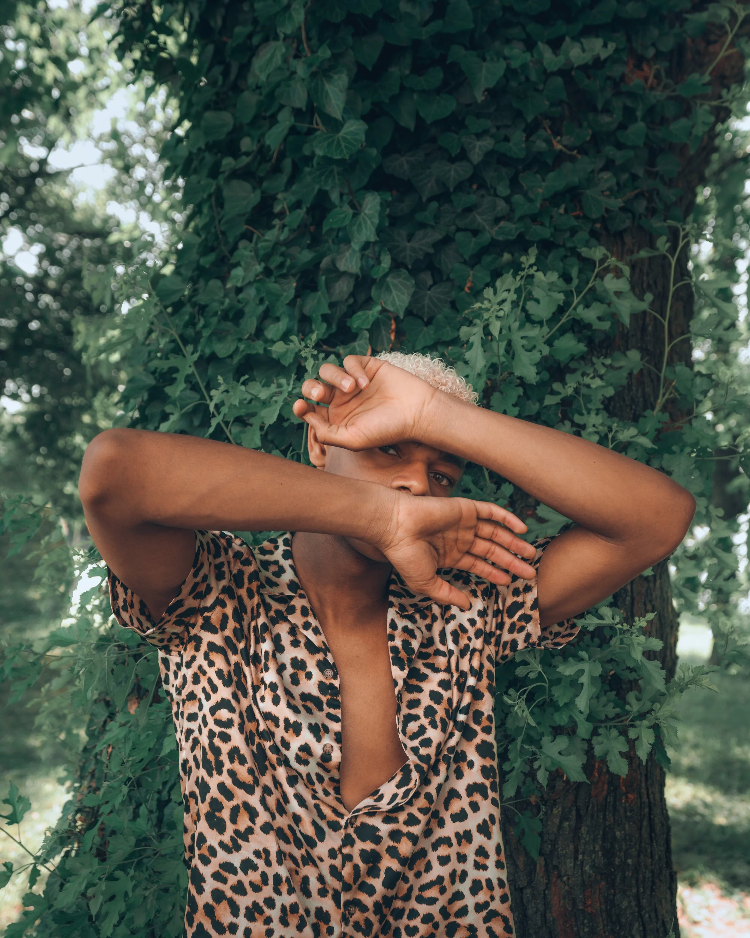 Captured by: @ayostephens (Instagram).