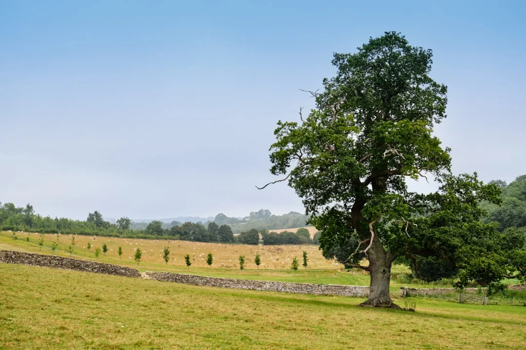 Cotswolds/England - Crucis Park 