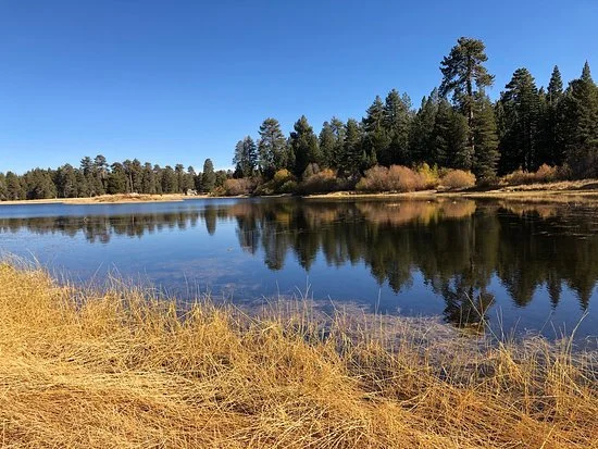 Field Trip - Bluff Lake Walk