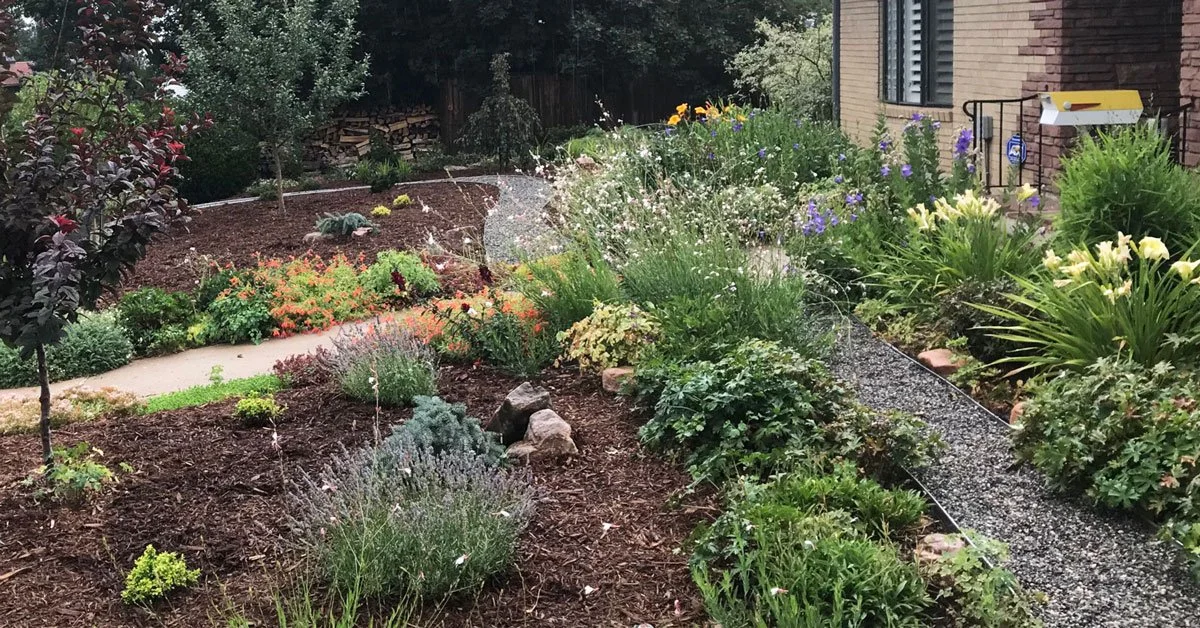 Xeriscape Garden Tour