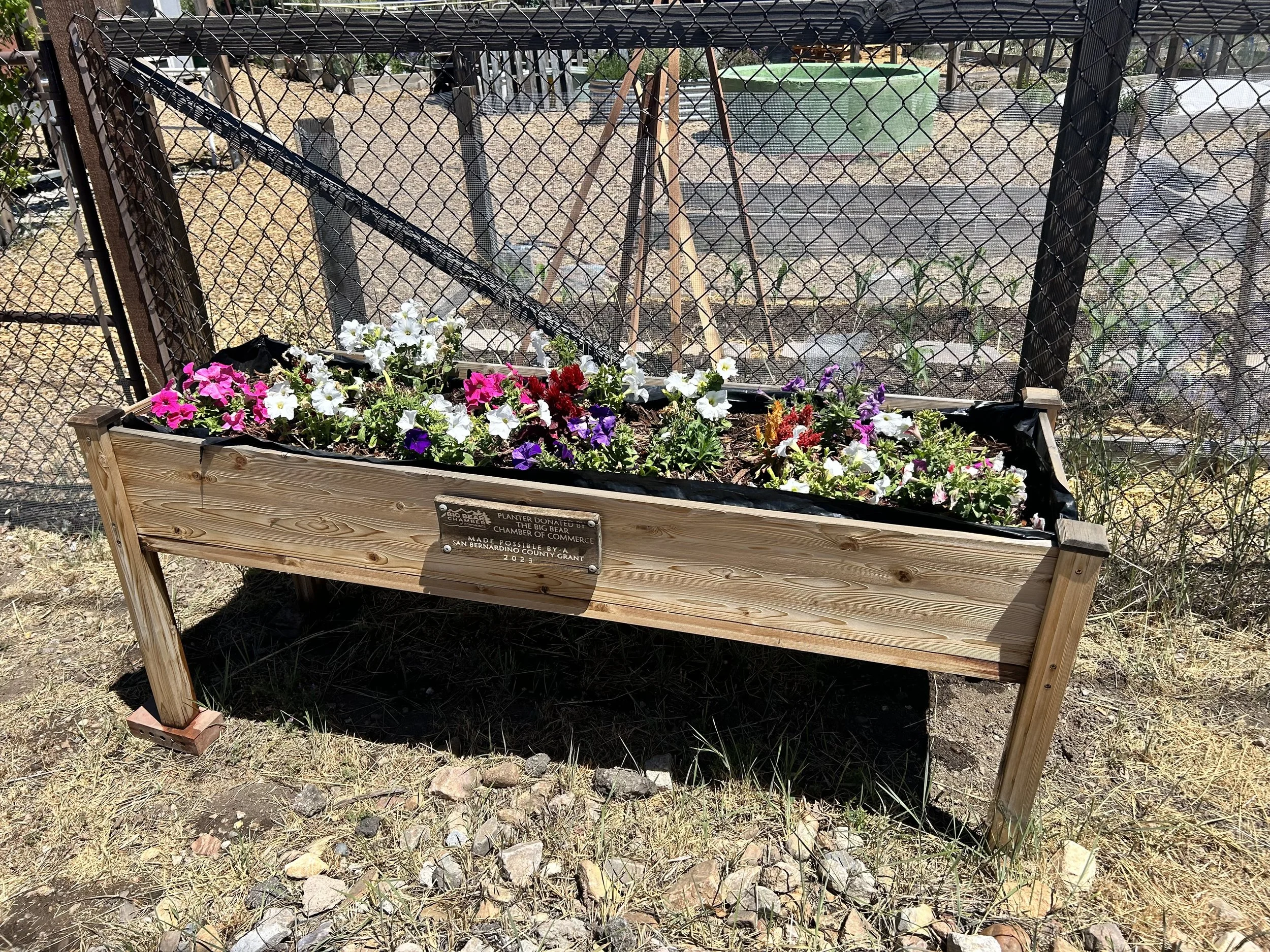 planter1.jpg