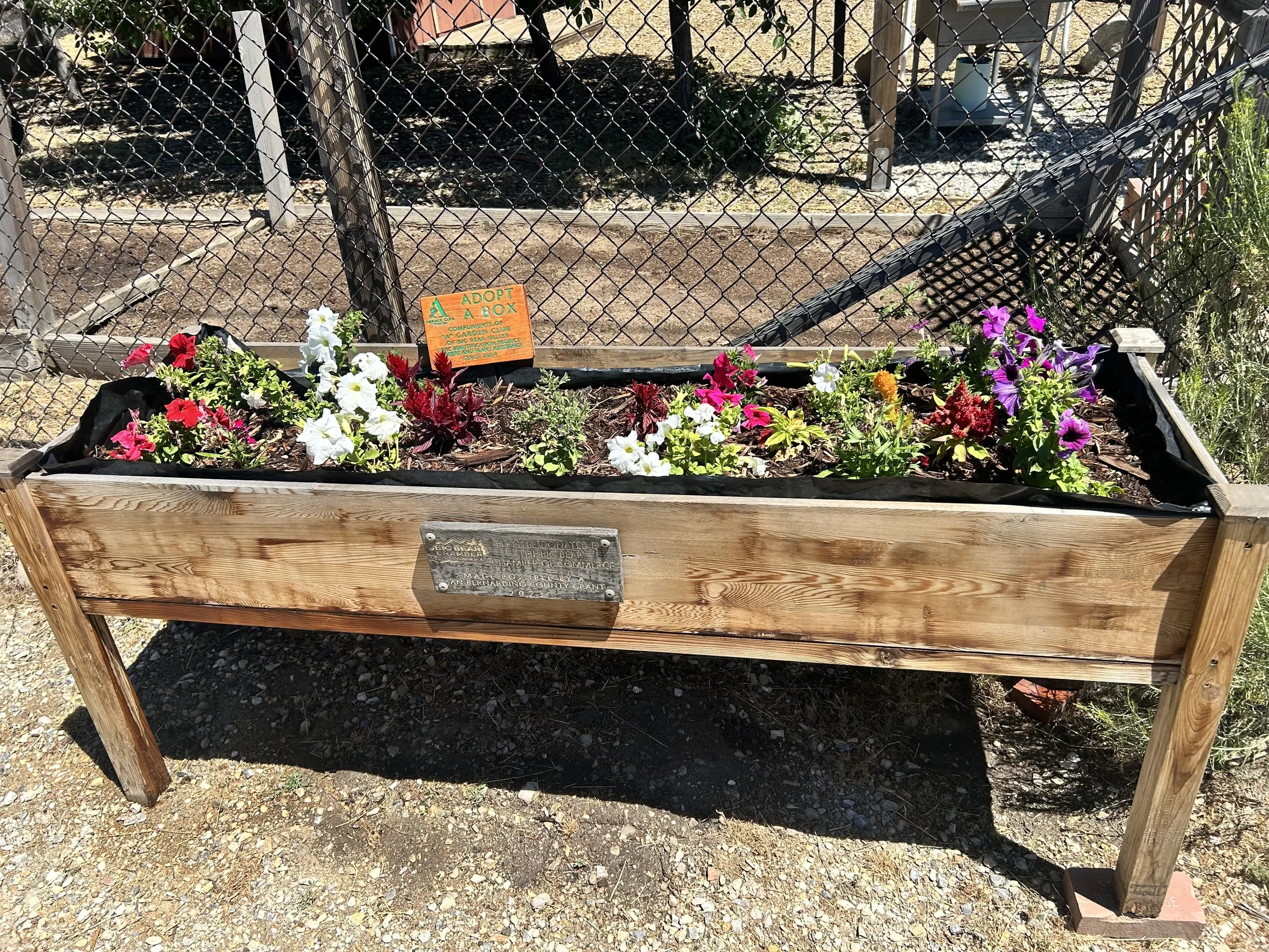 planter2.jpg
