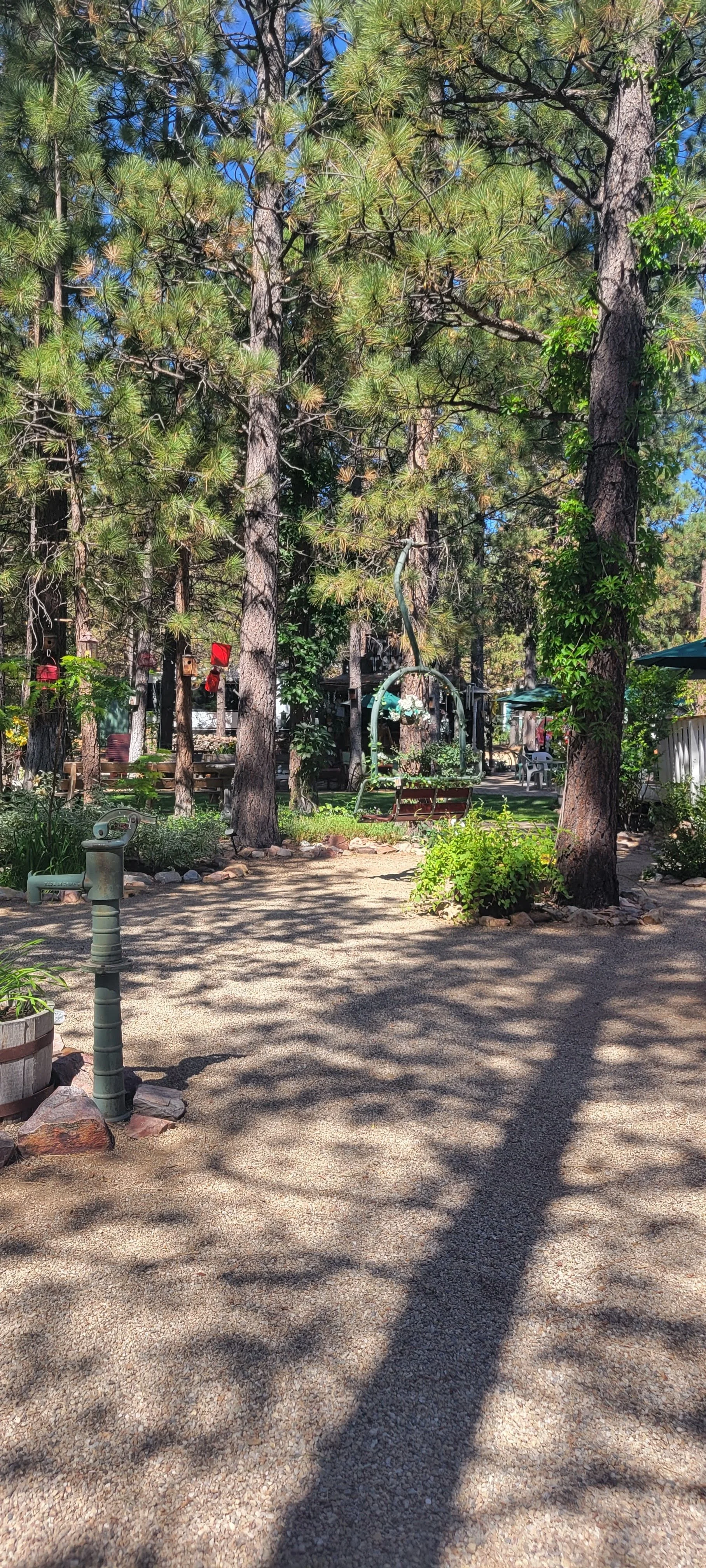 20260806_101134.jpg
