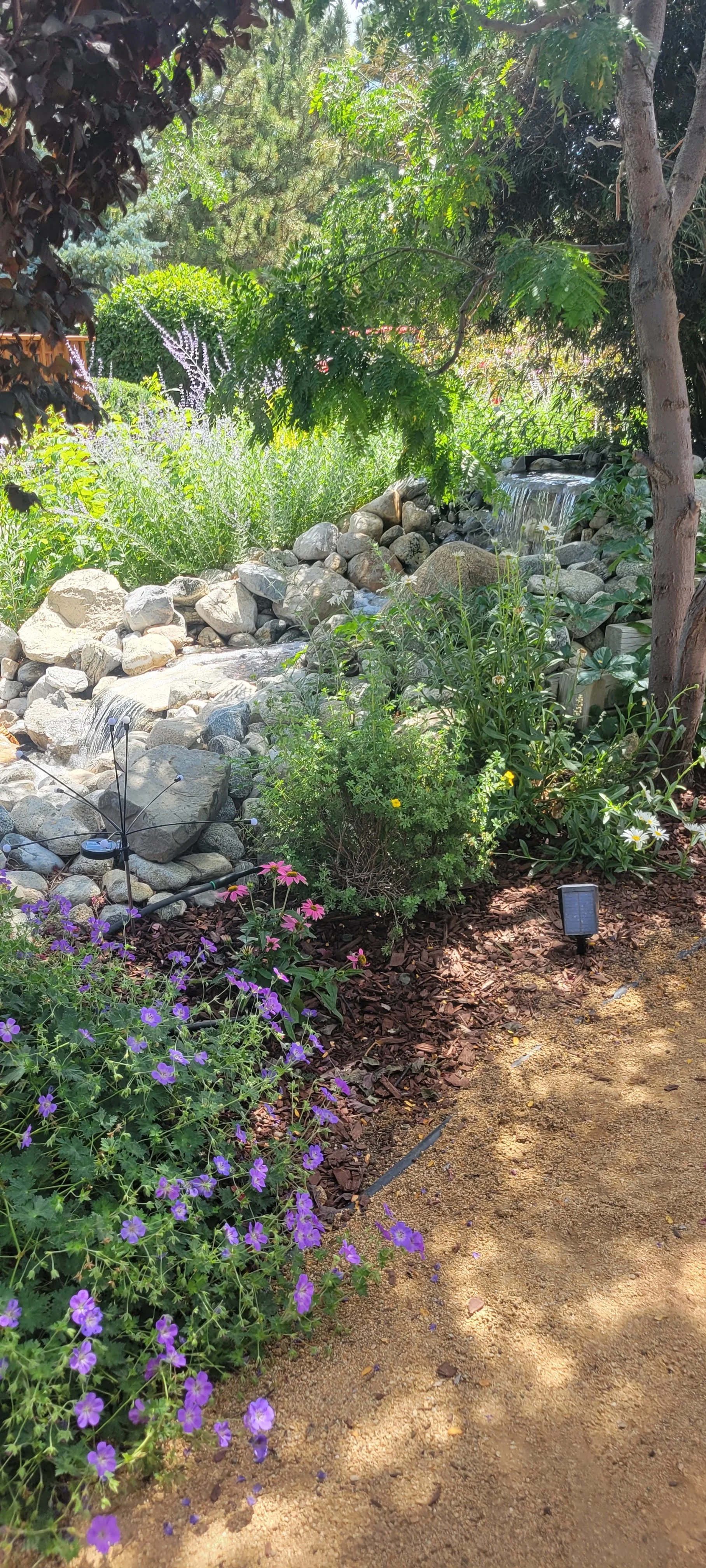 20260806_111152.jpg