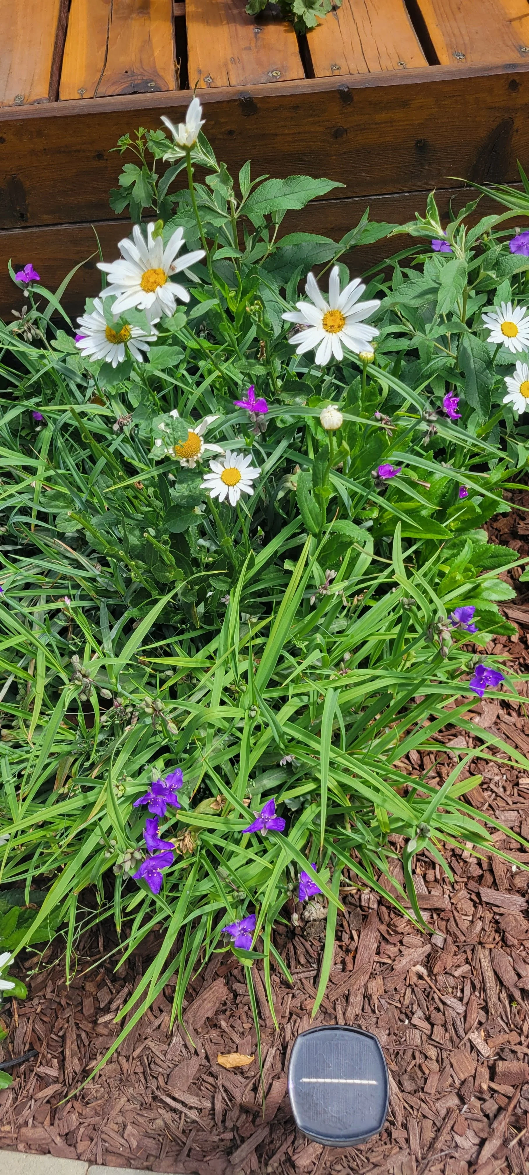 20260806_111954.jpg