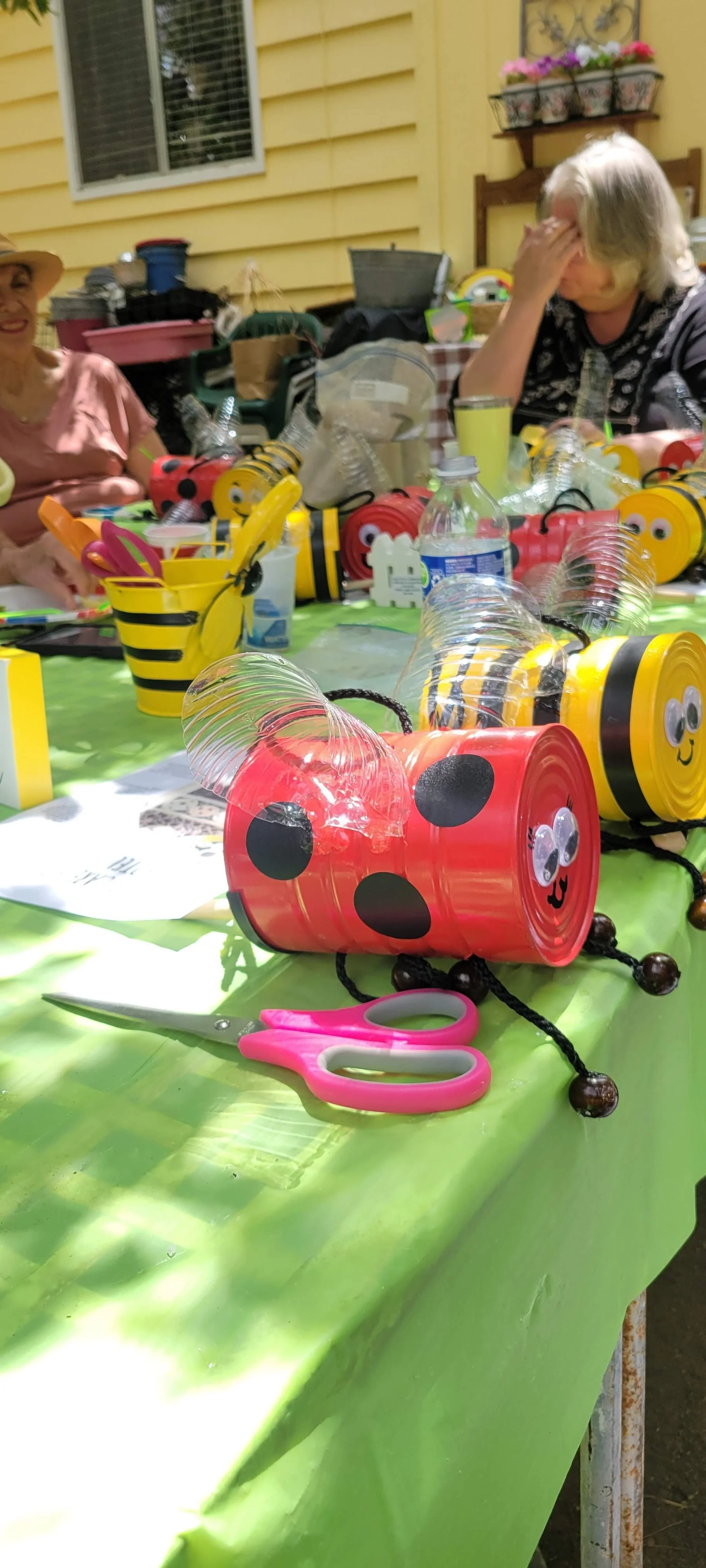 15.jpg