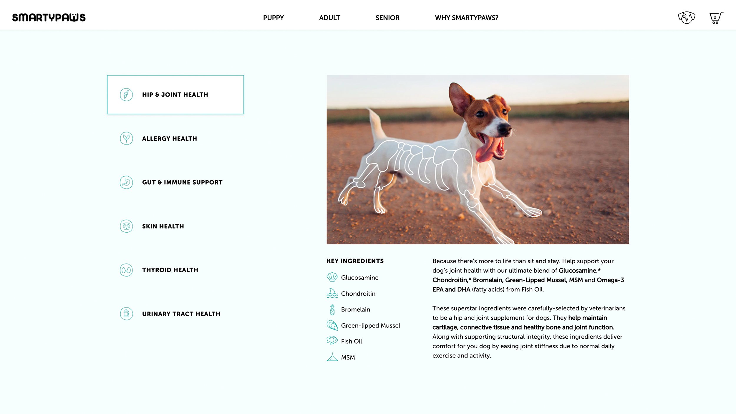 Smartypaws website