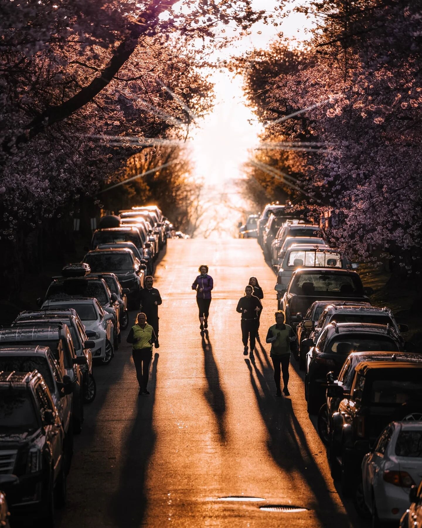 🏃&zwj;♂️🏃&zwj;♀️🏃&zwj;♂️🏃&zwj;♀️

▪︎

▪︎

▪︎

Camera: Canon R6 
Lens: Canon RF 70-200 2.8 
Settings: F2.8 1/160 ISO 100

▪︎

▪︎

Edited in: @adobe @lightroom

▪︎
______________________________
#canoncanada #canonr6 #vancouver #cherryblossom #suns