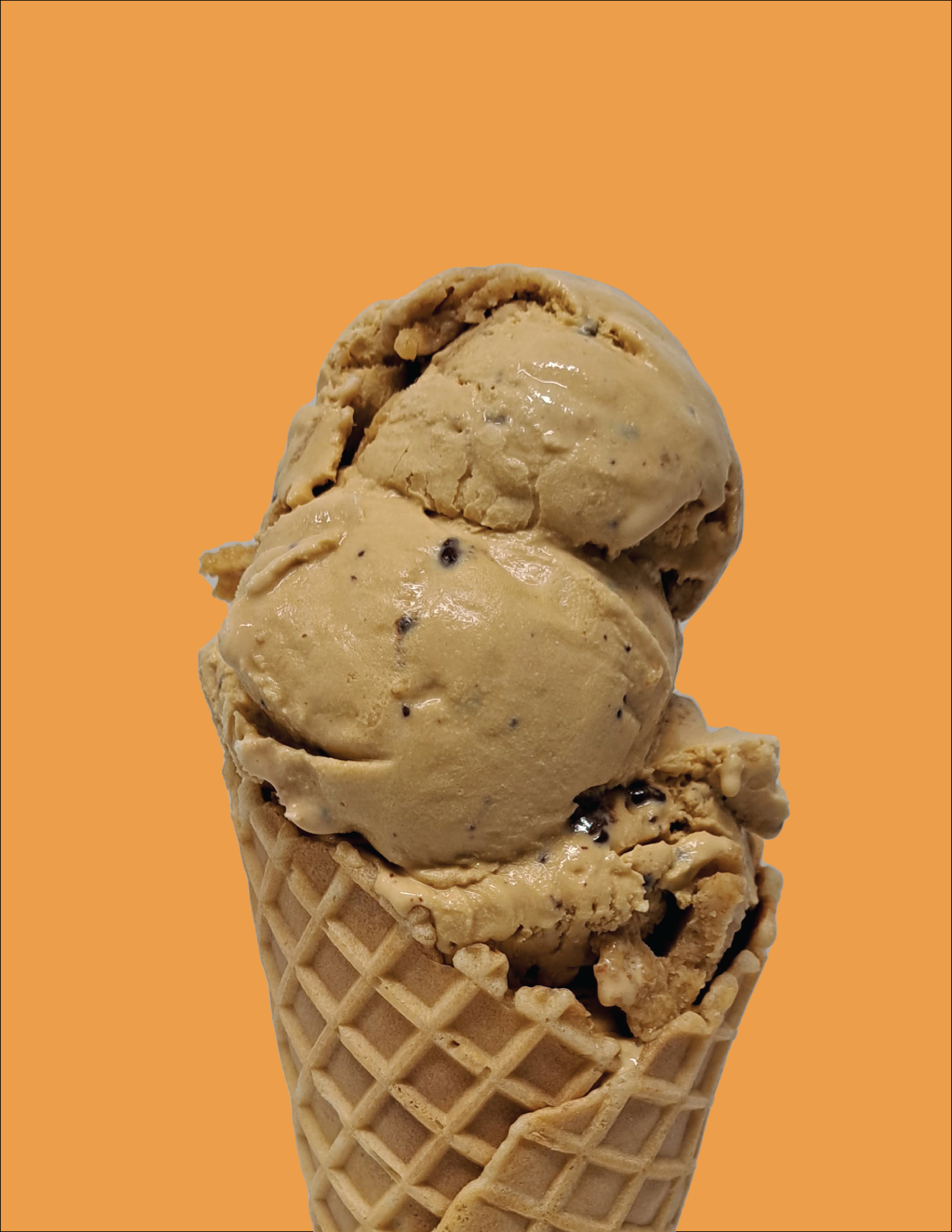 CONESZ-01.png