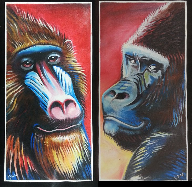 gorilla and mandril.jpg