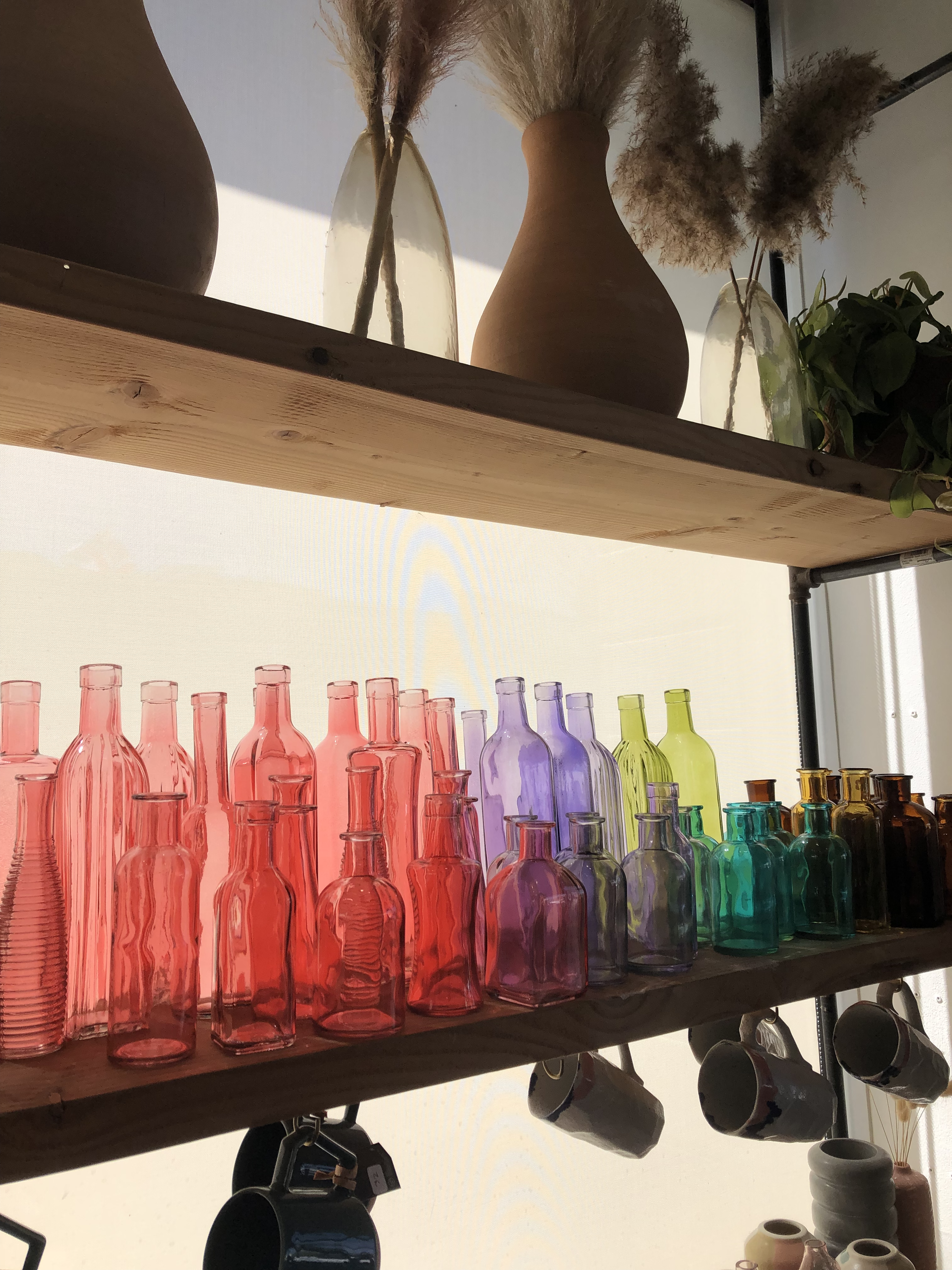 Colorful Bottles1.png