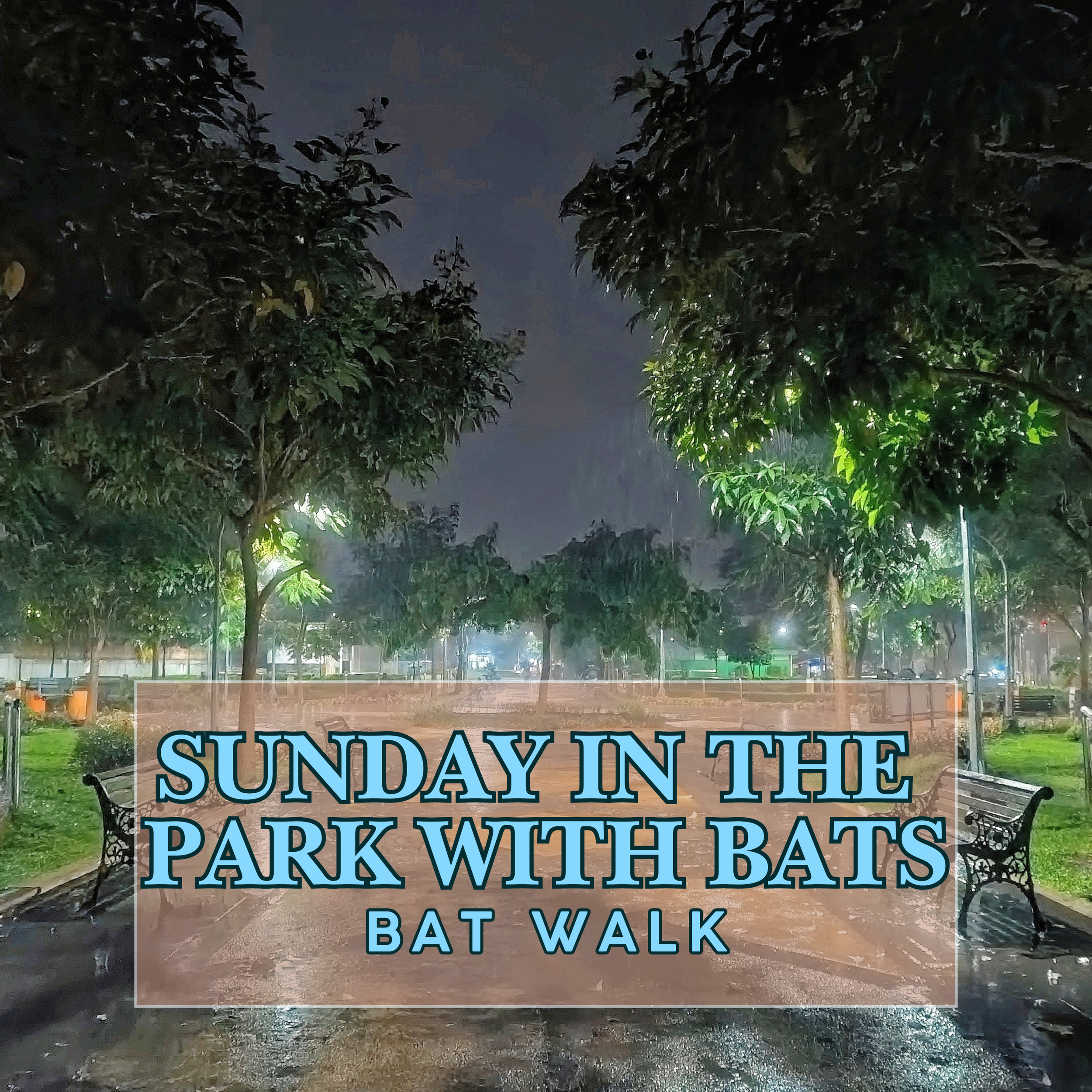 Acoustic monitoring 101-13.png