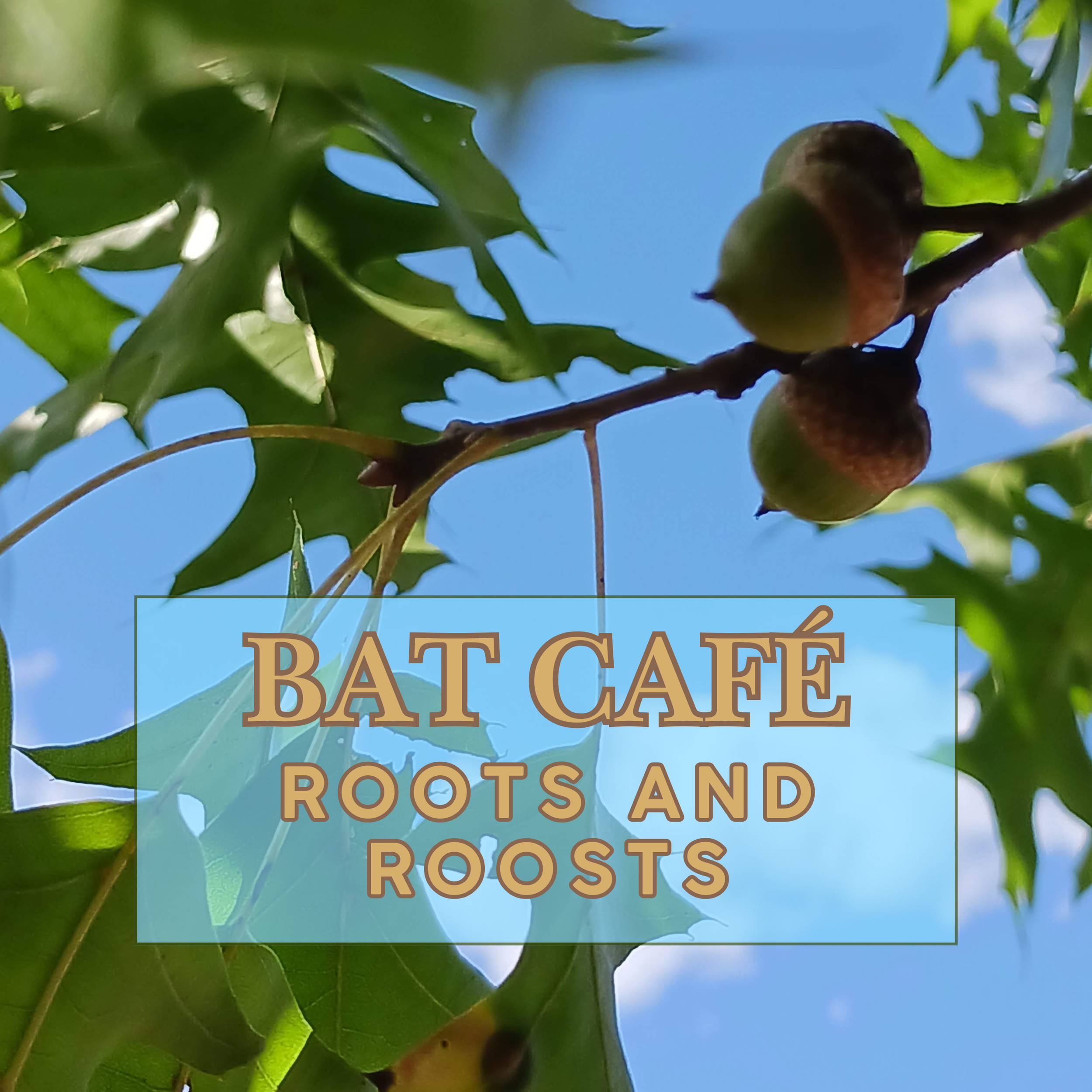 Acoustic monitoring 101-3.png