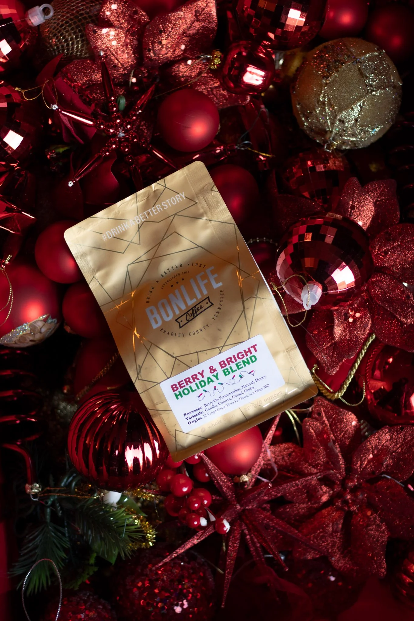 berry and bright-02.jpg