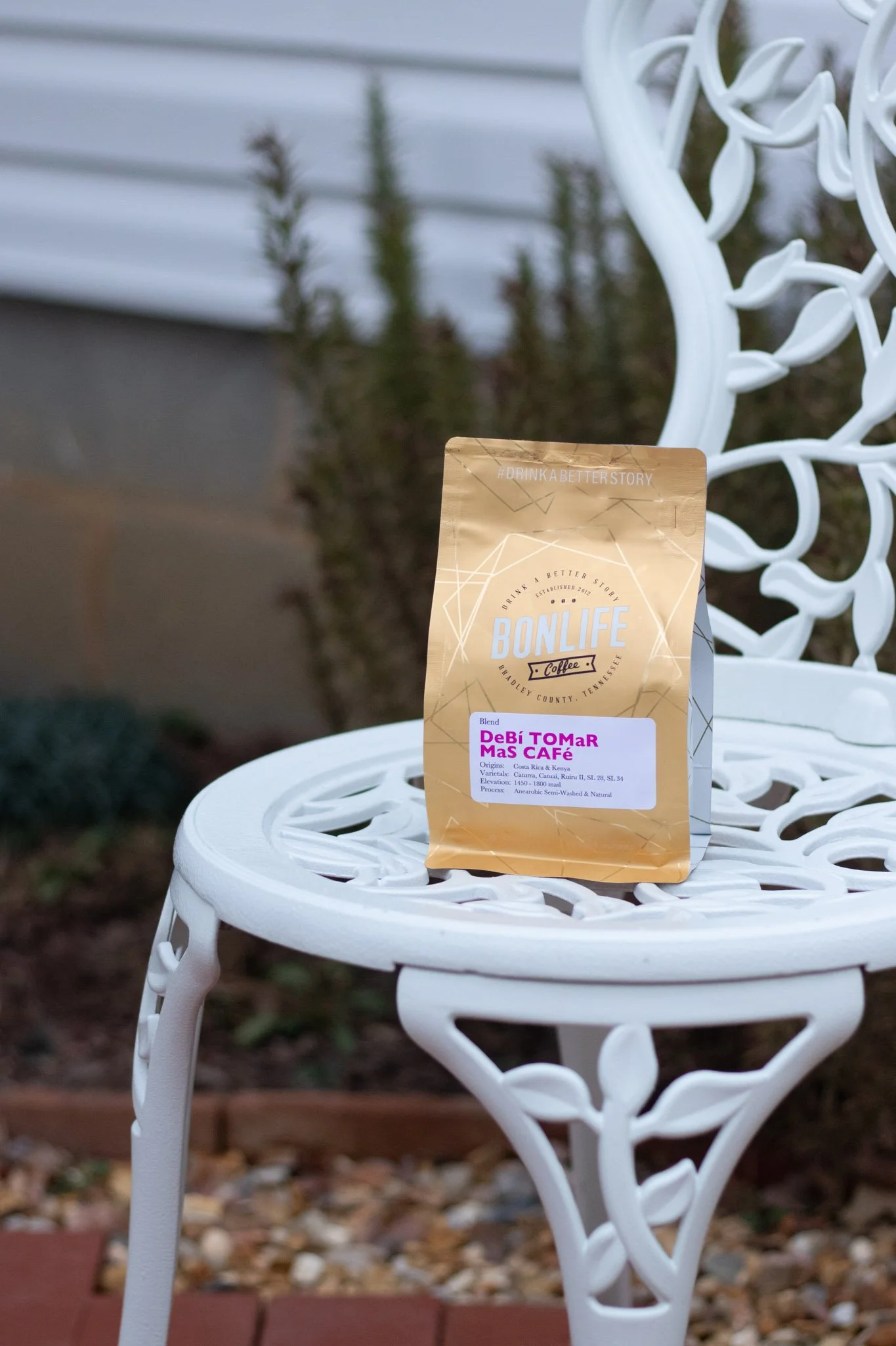 Bad Bunny Coffee light roast blend DeBí TOMaR MaS CAFé by award winning BonLife Coffee Roasters.